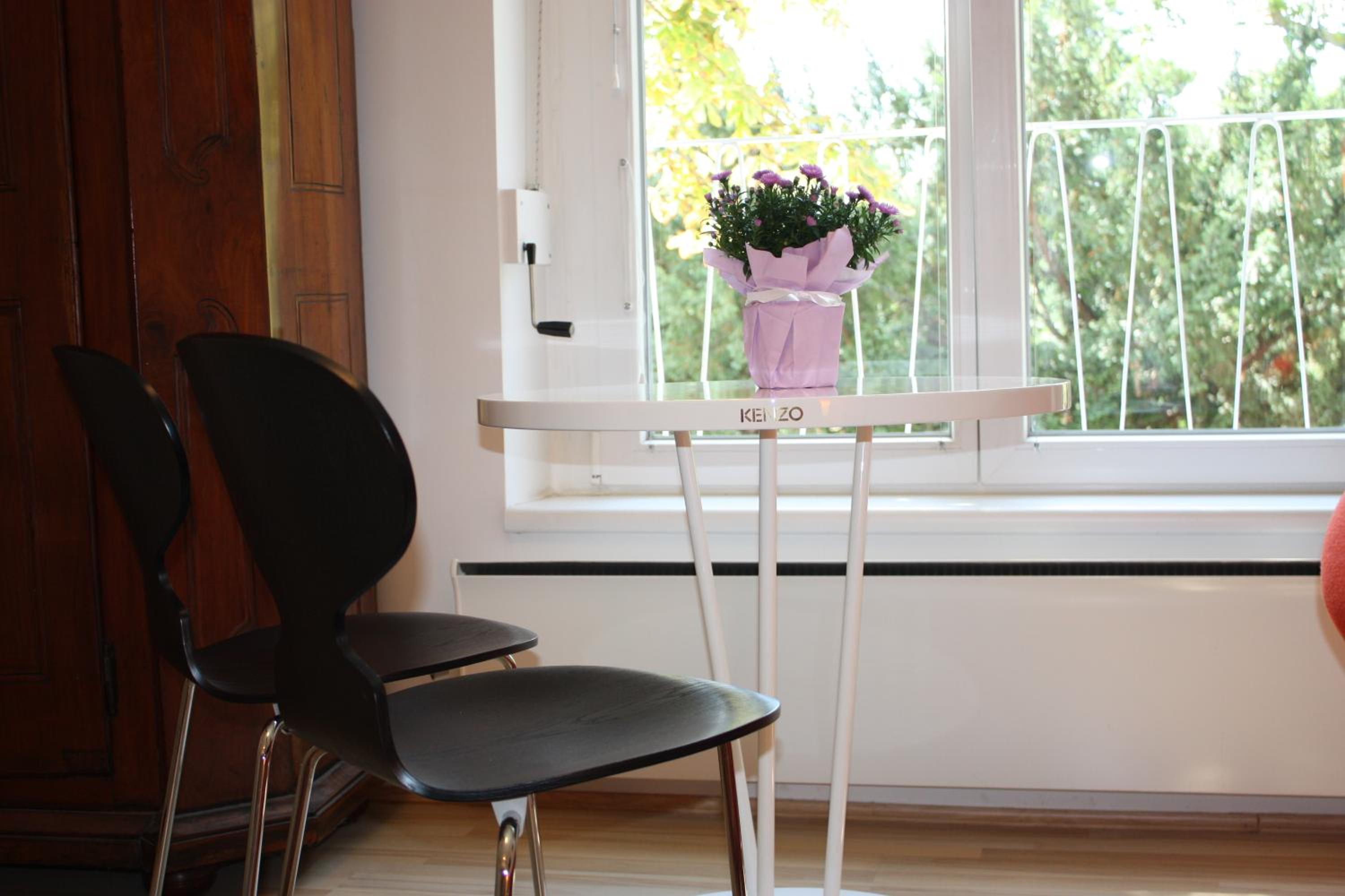 GoVienna - Charming Studio