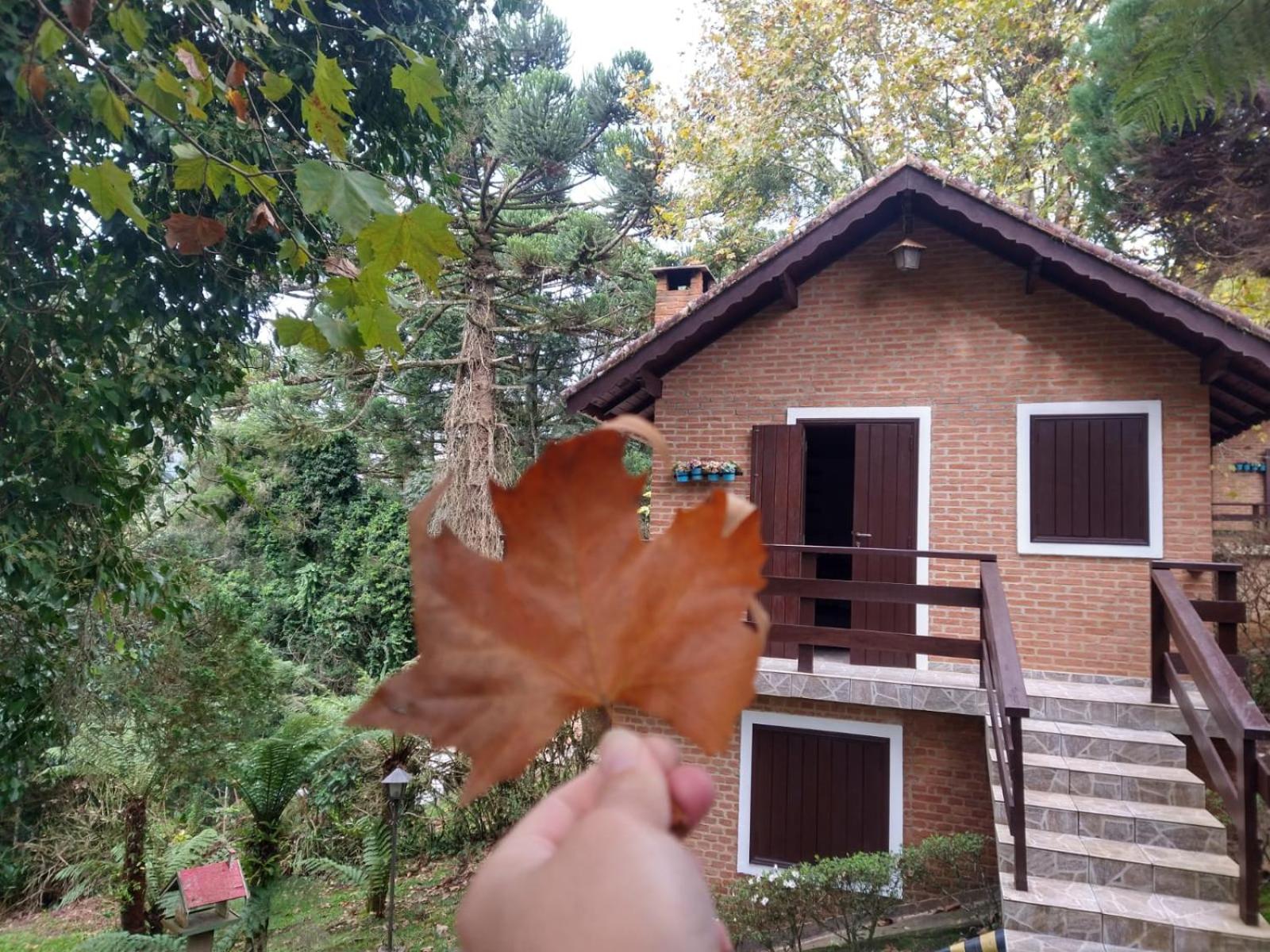 Pousada Estrela da Serra