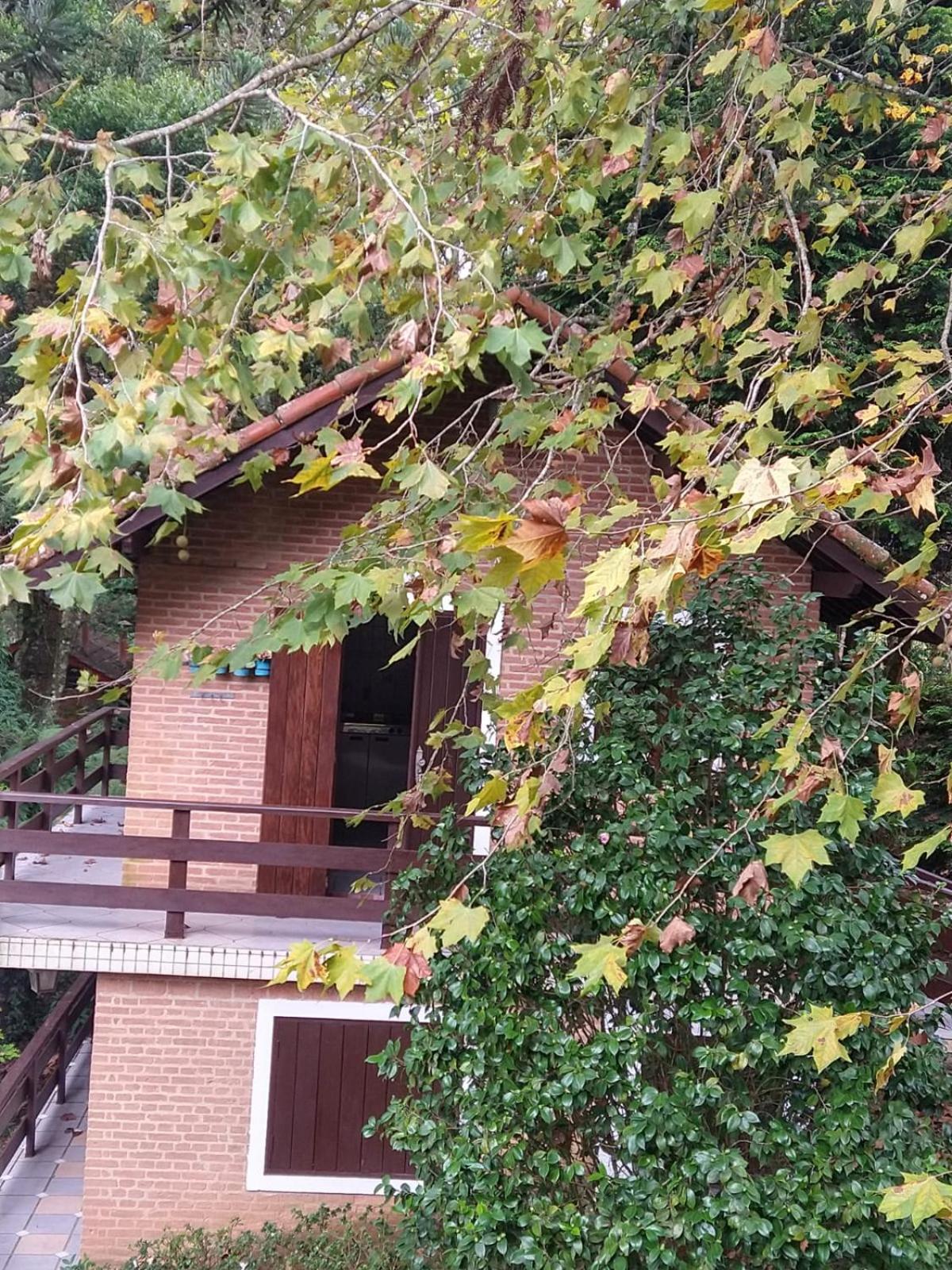 Pousada Estrela da Serra