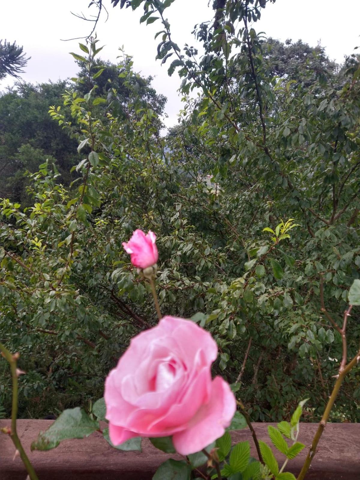 Pousada Estrela da Serra