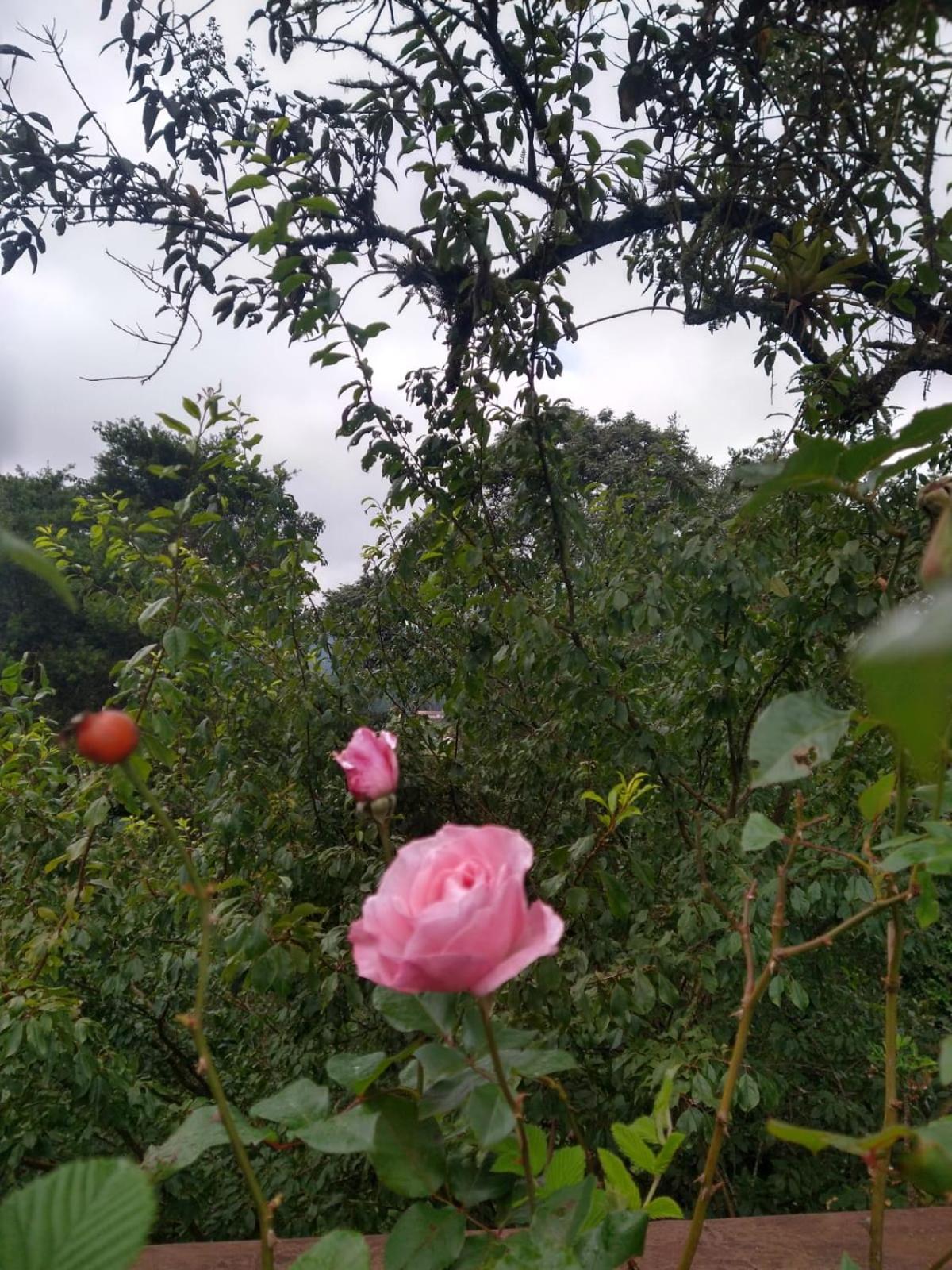 Pousada Estrela da Serra