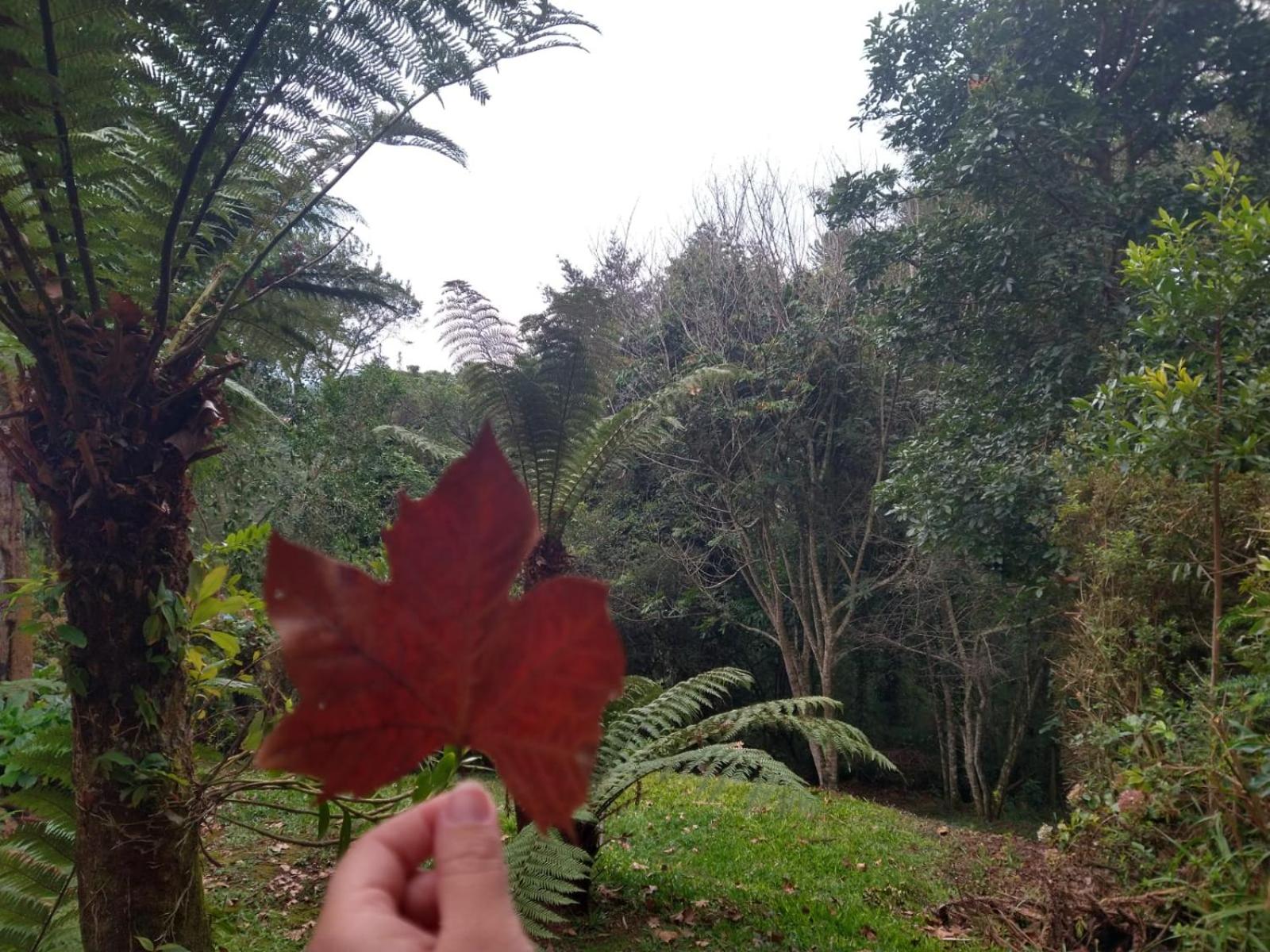 Pousada Estrela da Serra