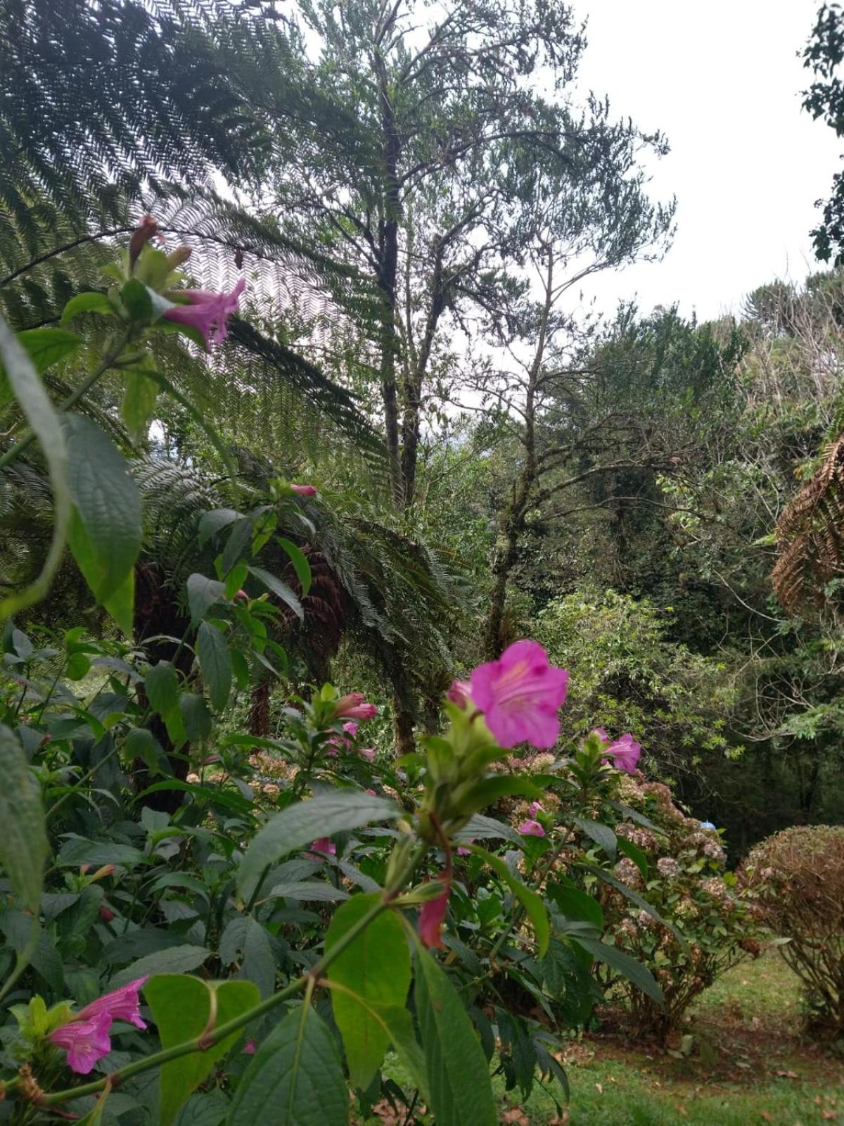 Pousada Estrela da Serra