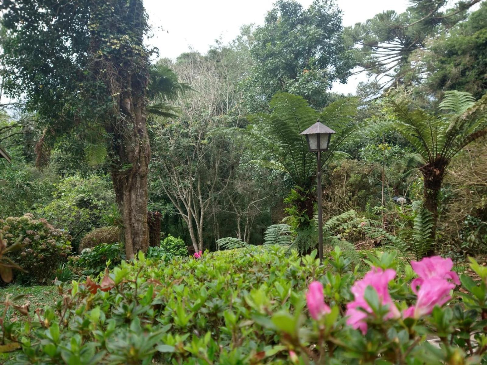 Pousada Estrela da Serra