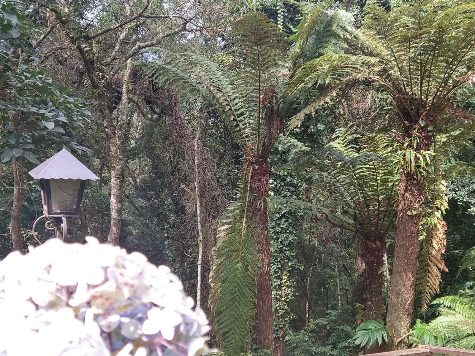 Pousada Estrela da Serra