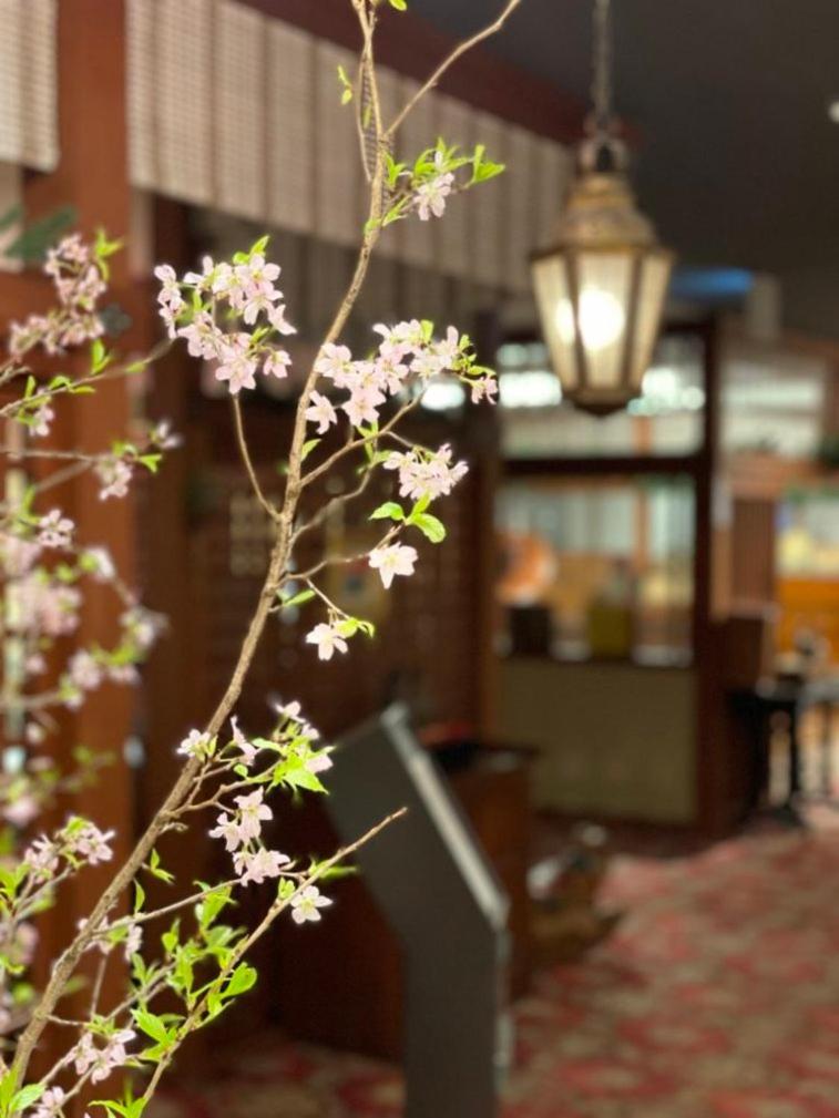 Kyotoya, photo 35