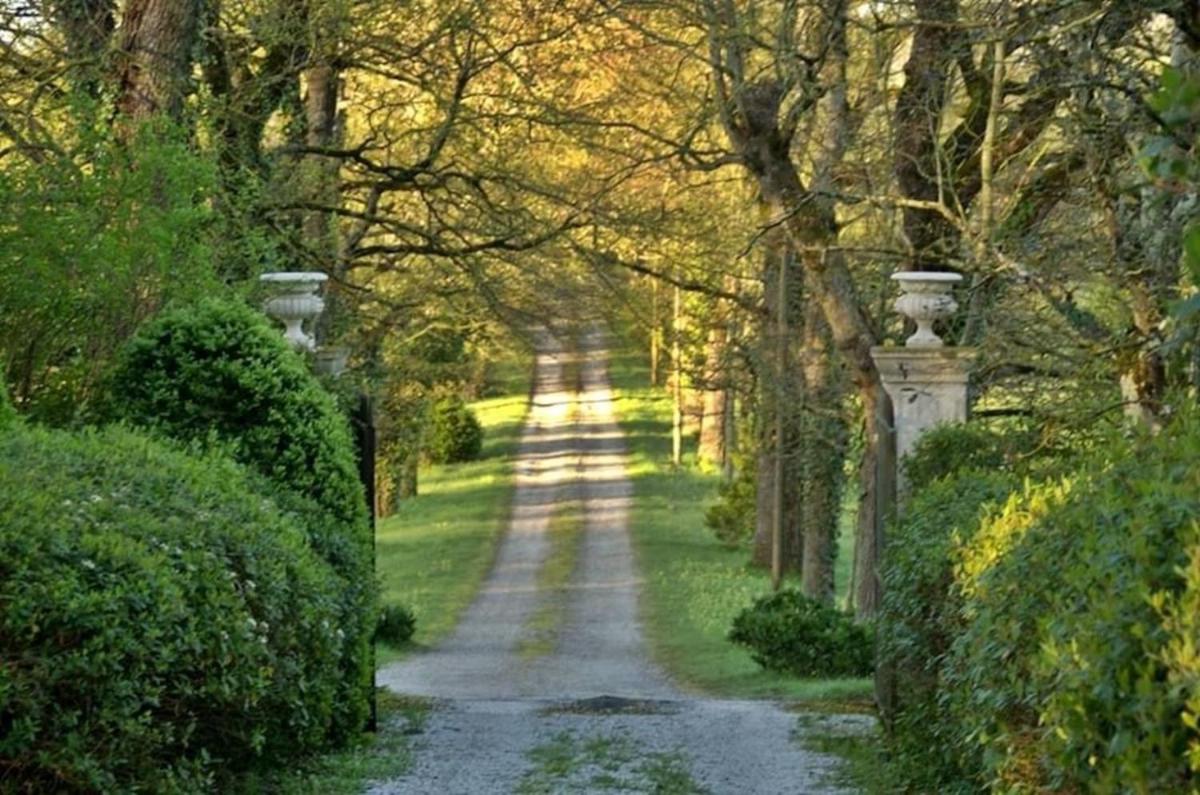 Domaine de la Vivarié view 2