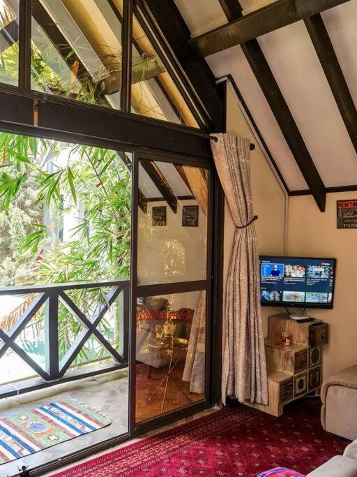 The Annex at 64 : Cozy, rustic cottage/treehouse view 3
