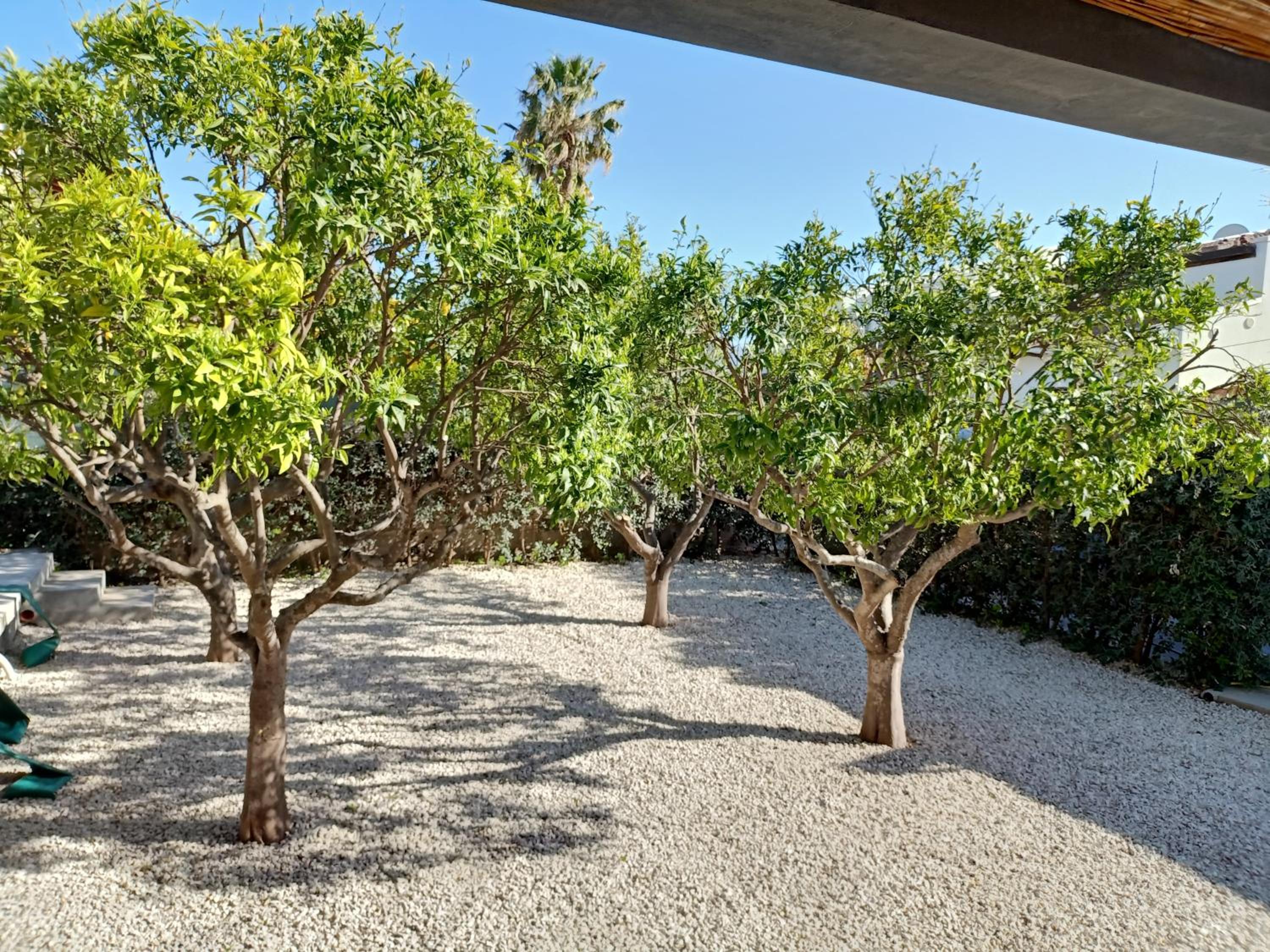 Villa Zoe