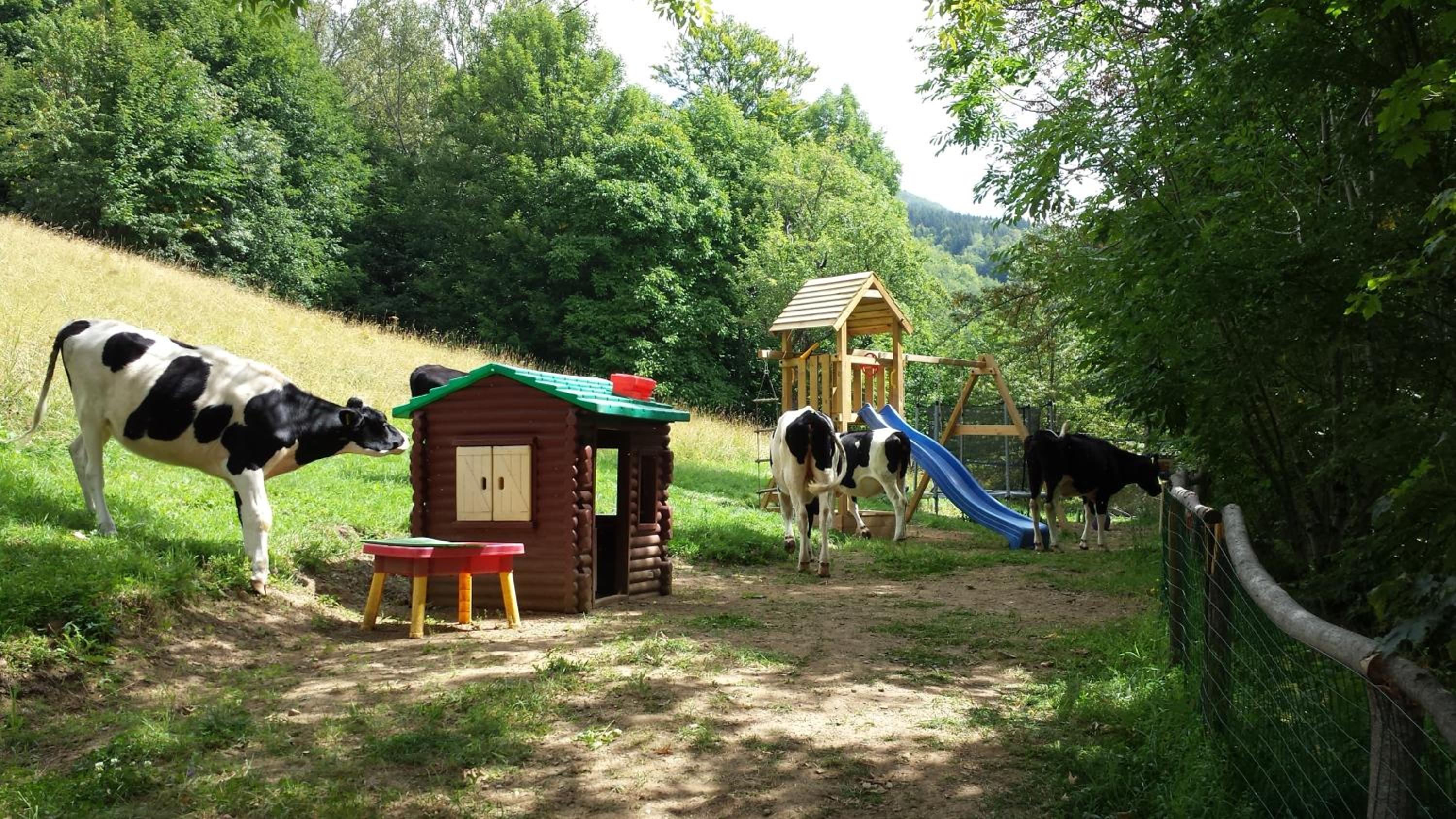 Il Borgo Dei Celti