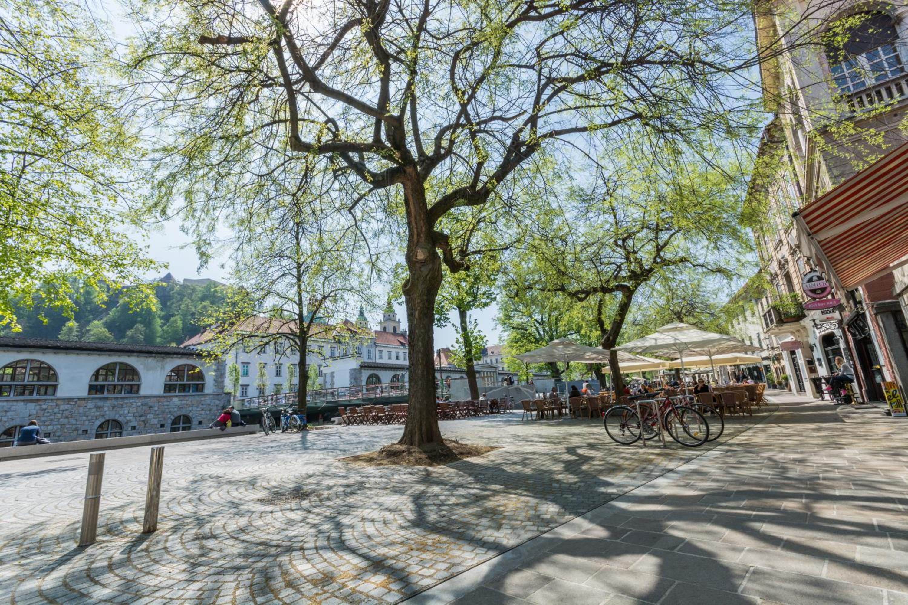 Old Town first floor