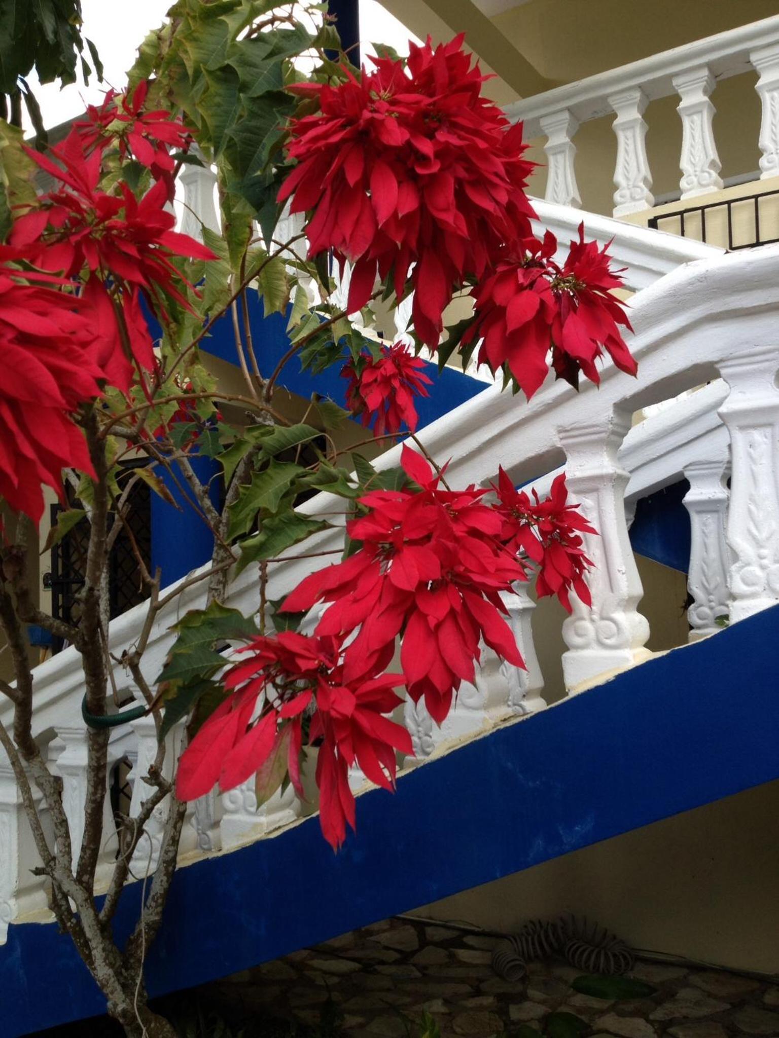 Sana El Jardin Secreto