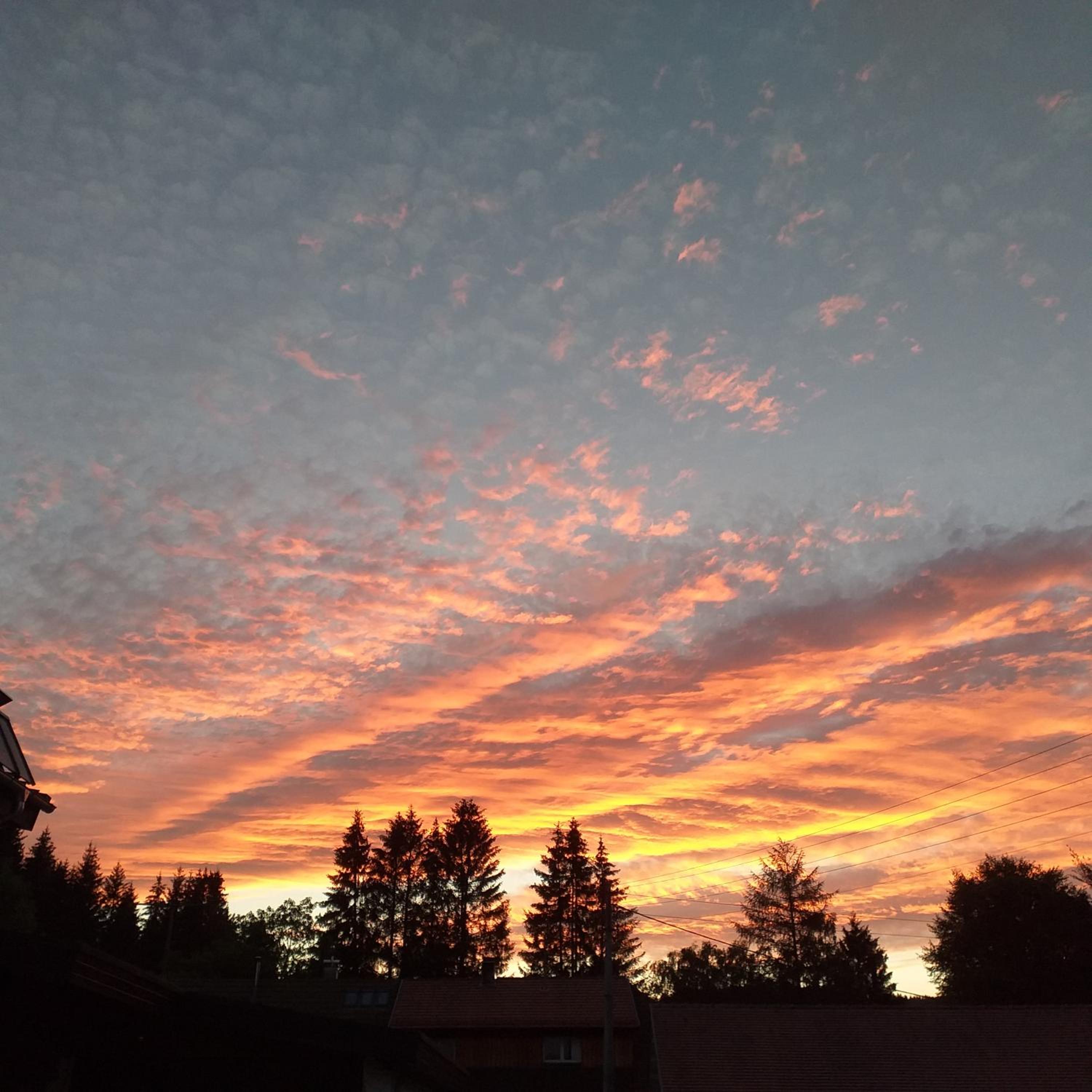 Photo 53
