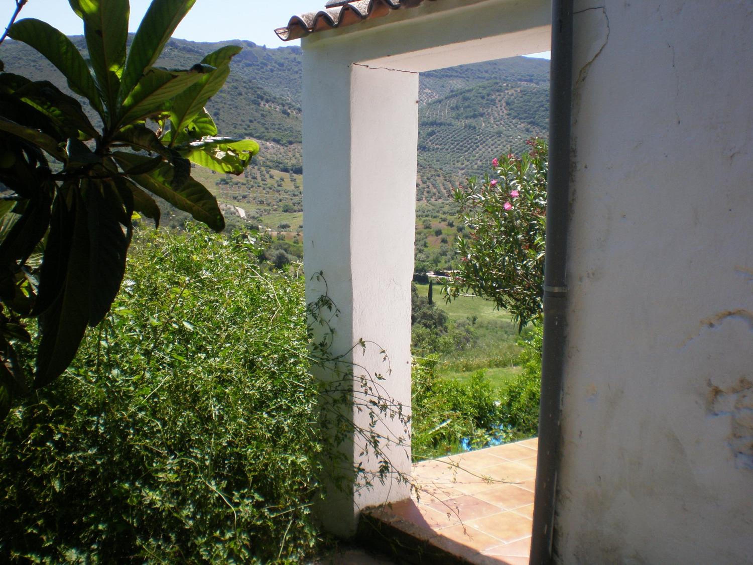Photo 36