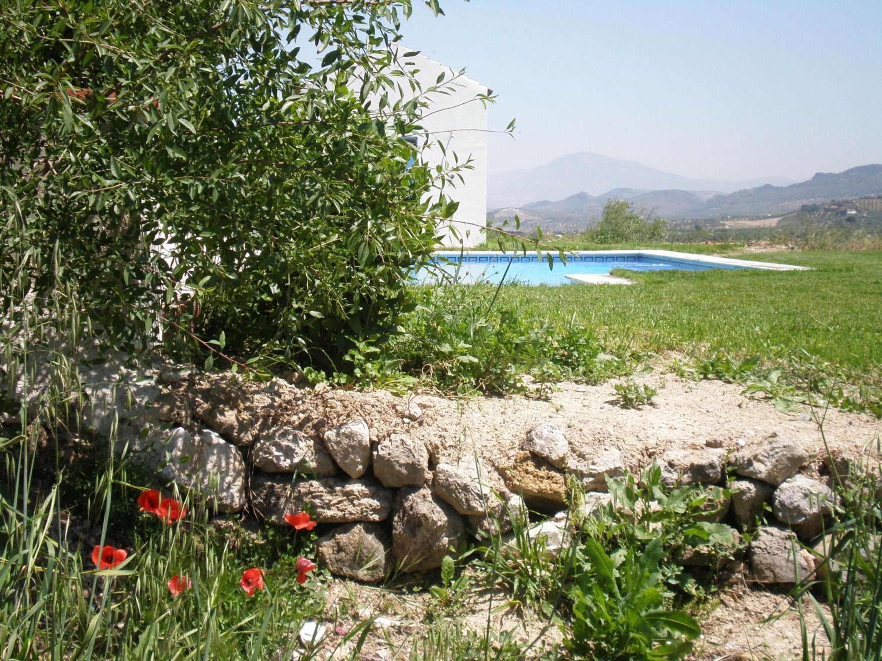 Photo 45