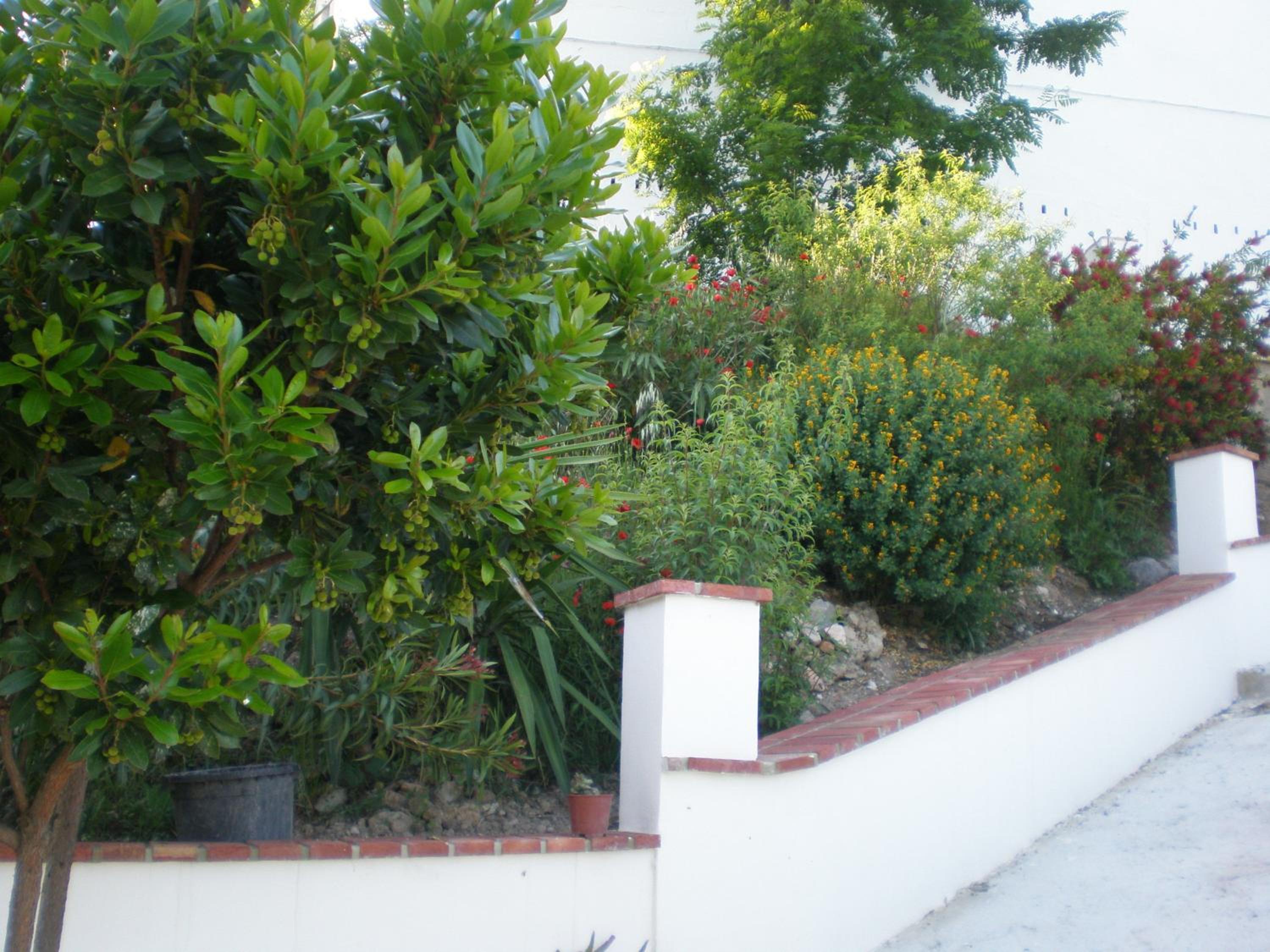 Photo 41
