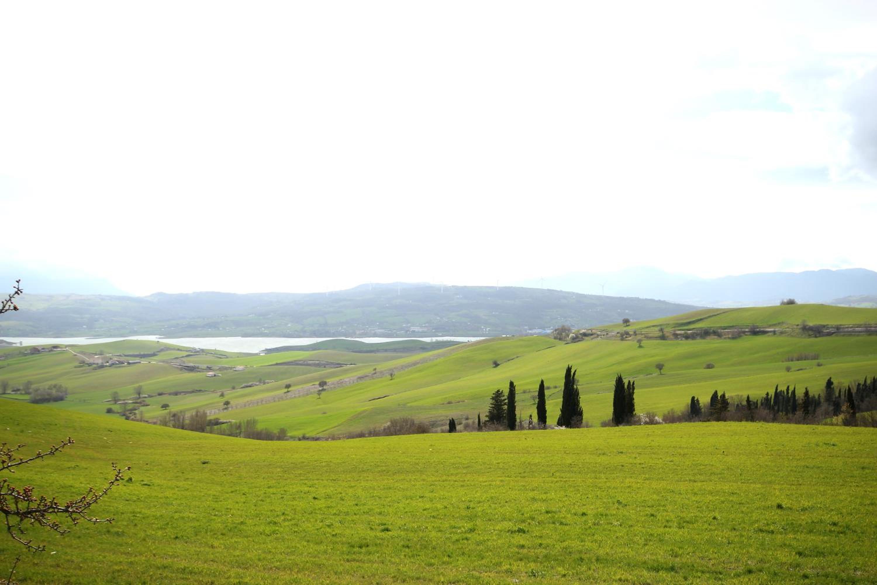 Una Finestra sul passato photo 5