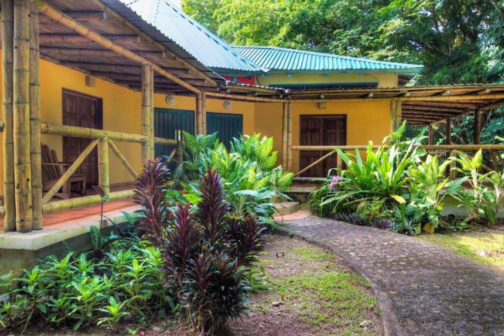 Private Villa on 2-Acres of Jungle Garden & Pool