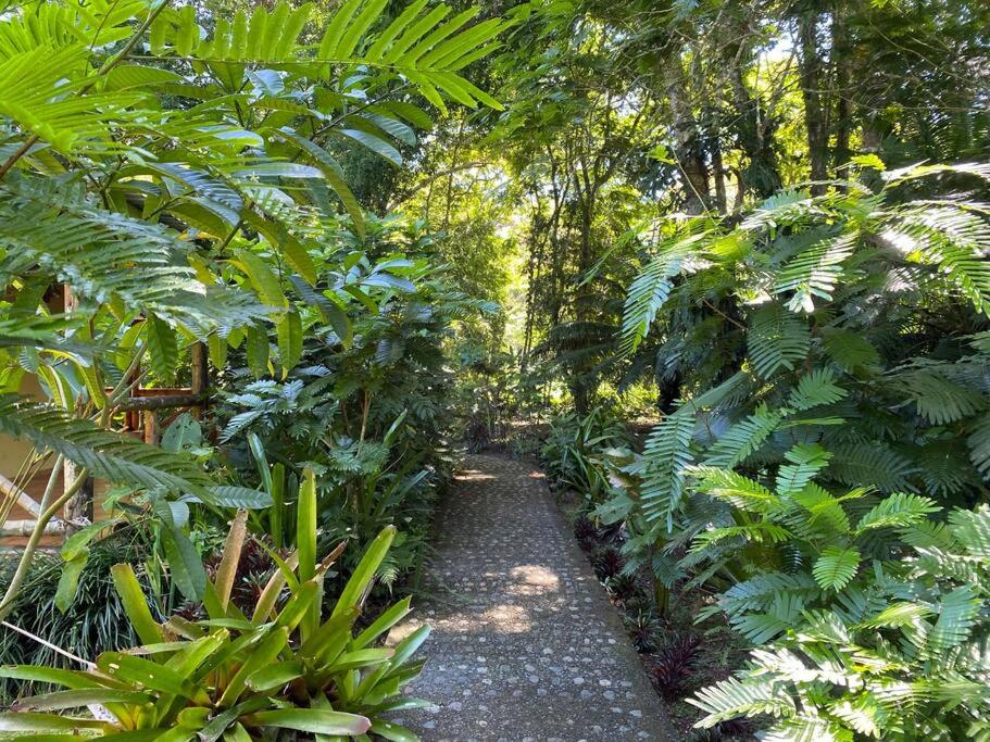 Private Villa on 2-Acres of Jungle Garden & Pool