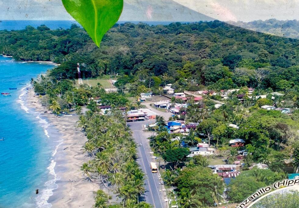 Private Villa on 2-Acres of Jungle Garden & Pool