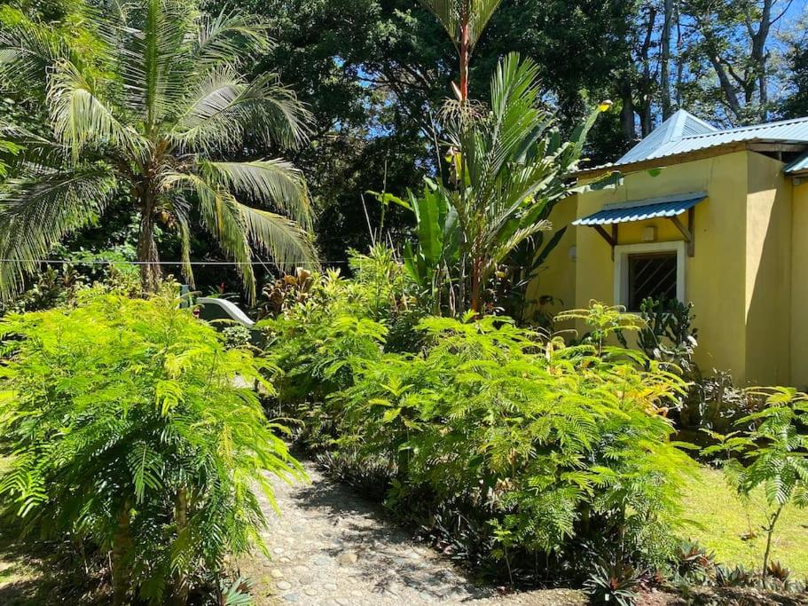 Private Villa on 2-Acres of Jungle Garden & Pool