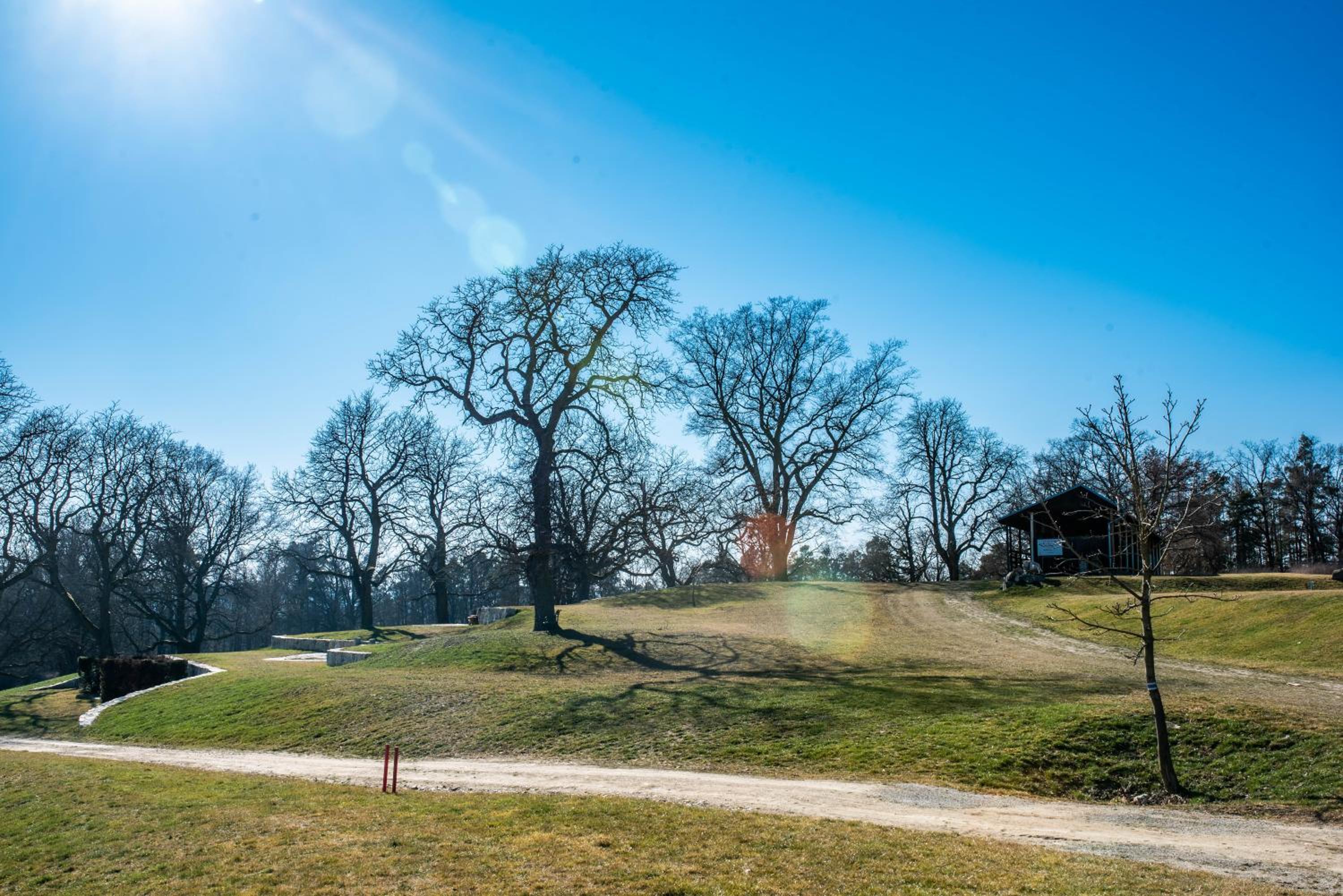 children's play area