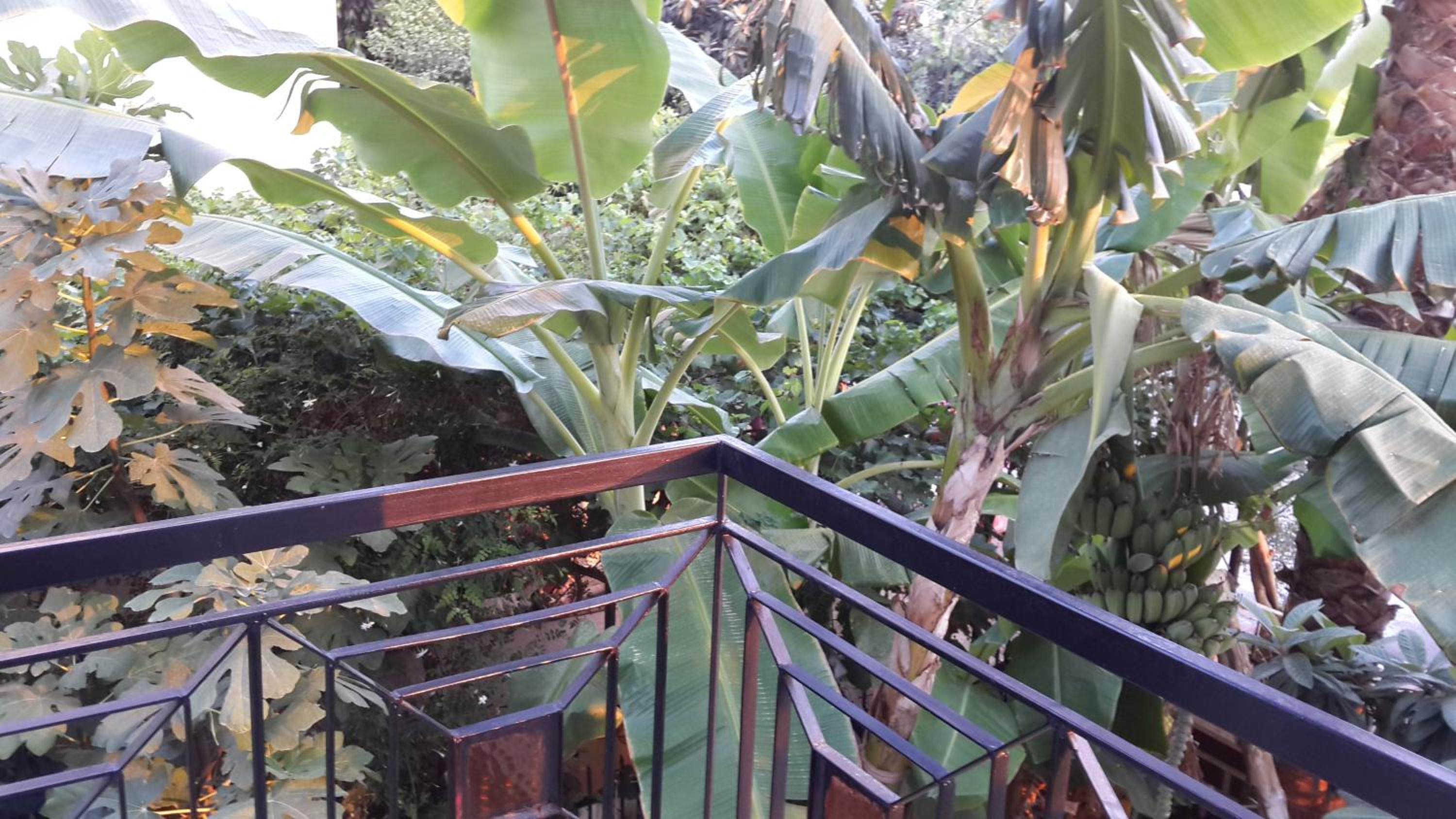 Kartal Hotel - Image 34