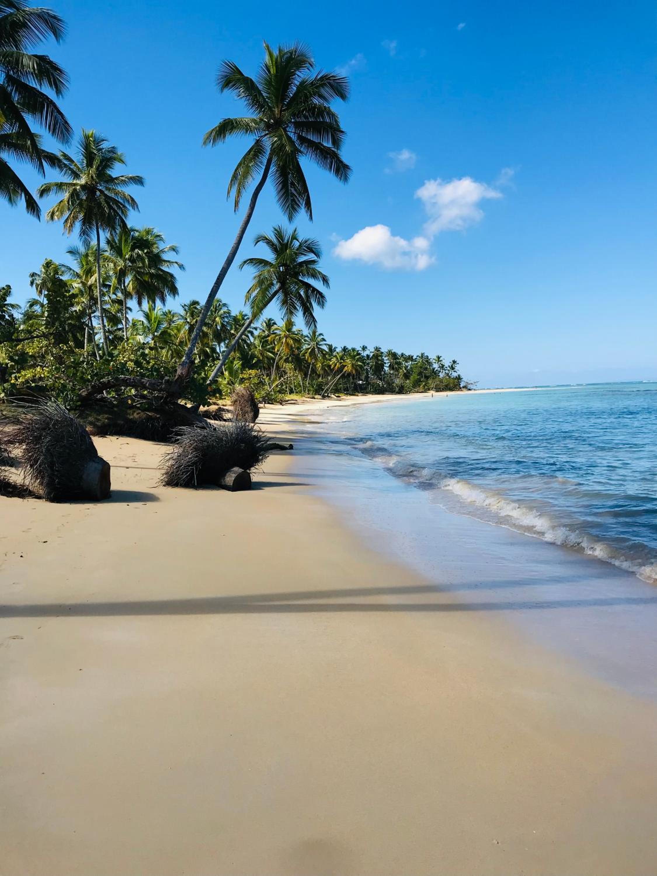 Piece of Paradise