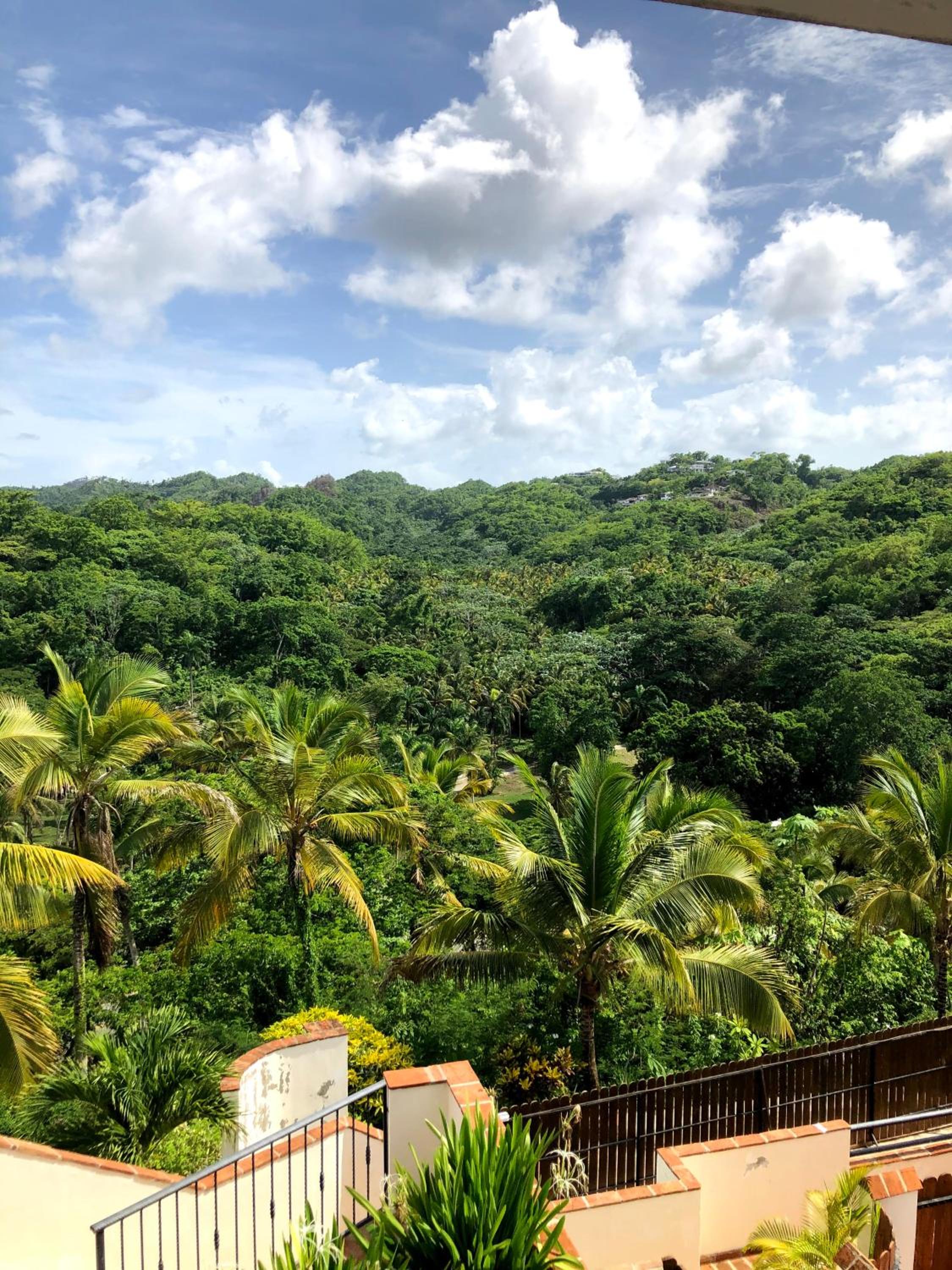 Piece of Paradise