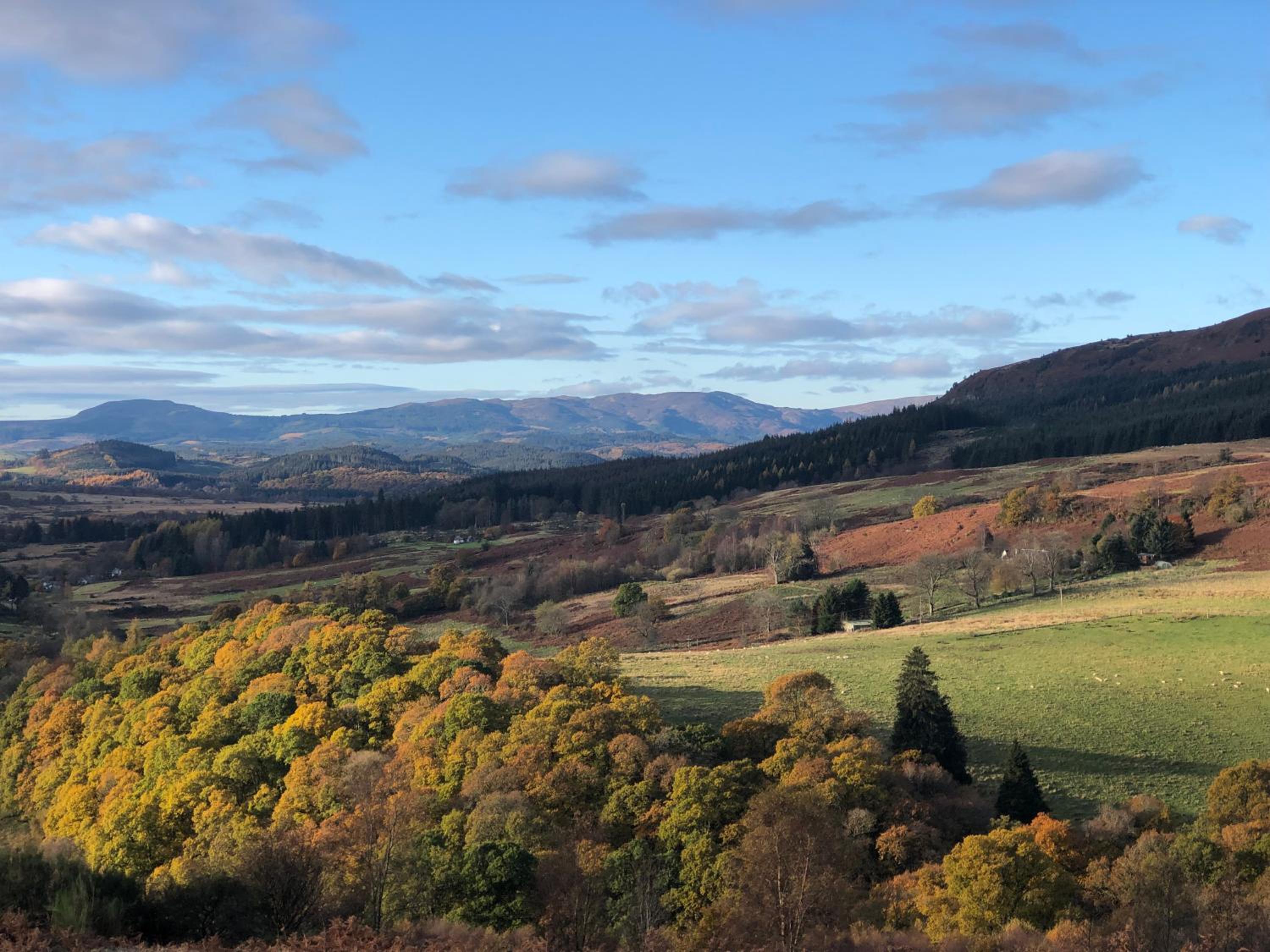 Nether Glenny Farm