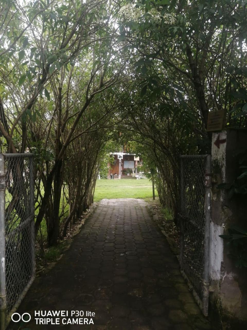 Photo 51