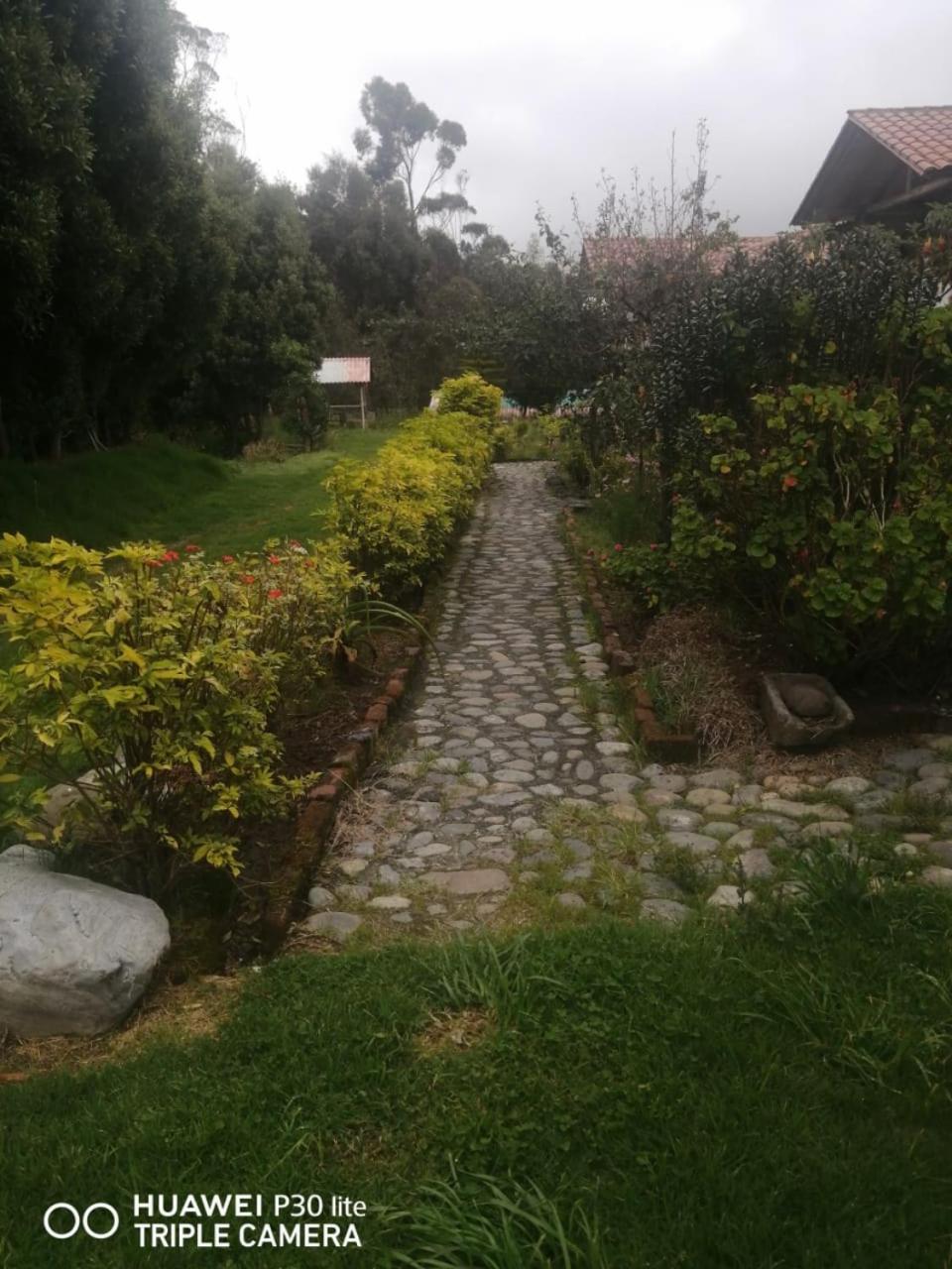 Photo 50