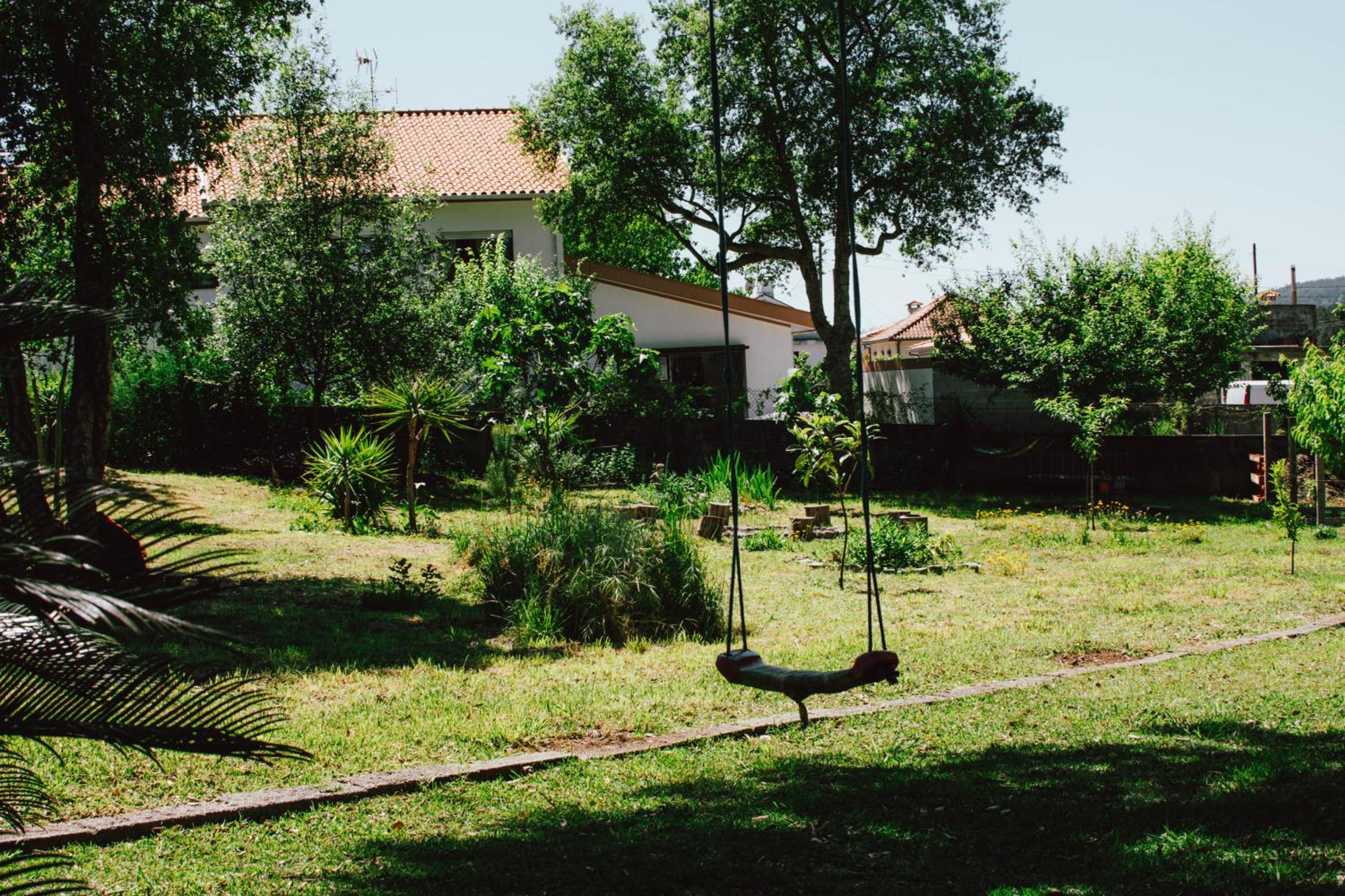 Photo 31