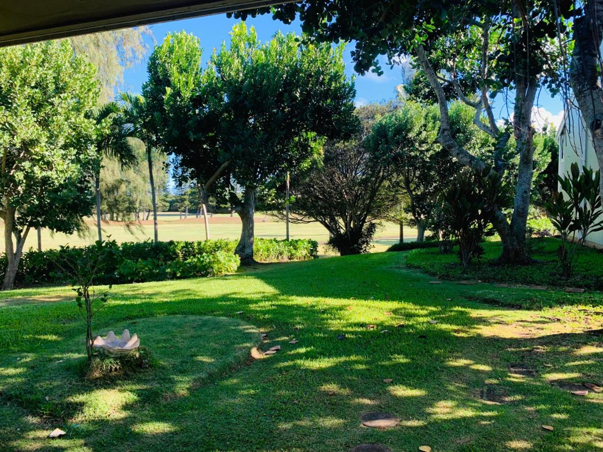 Cozy & Peaceful North Shore Oasis at Turtle Bay view 4