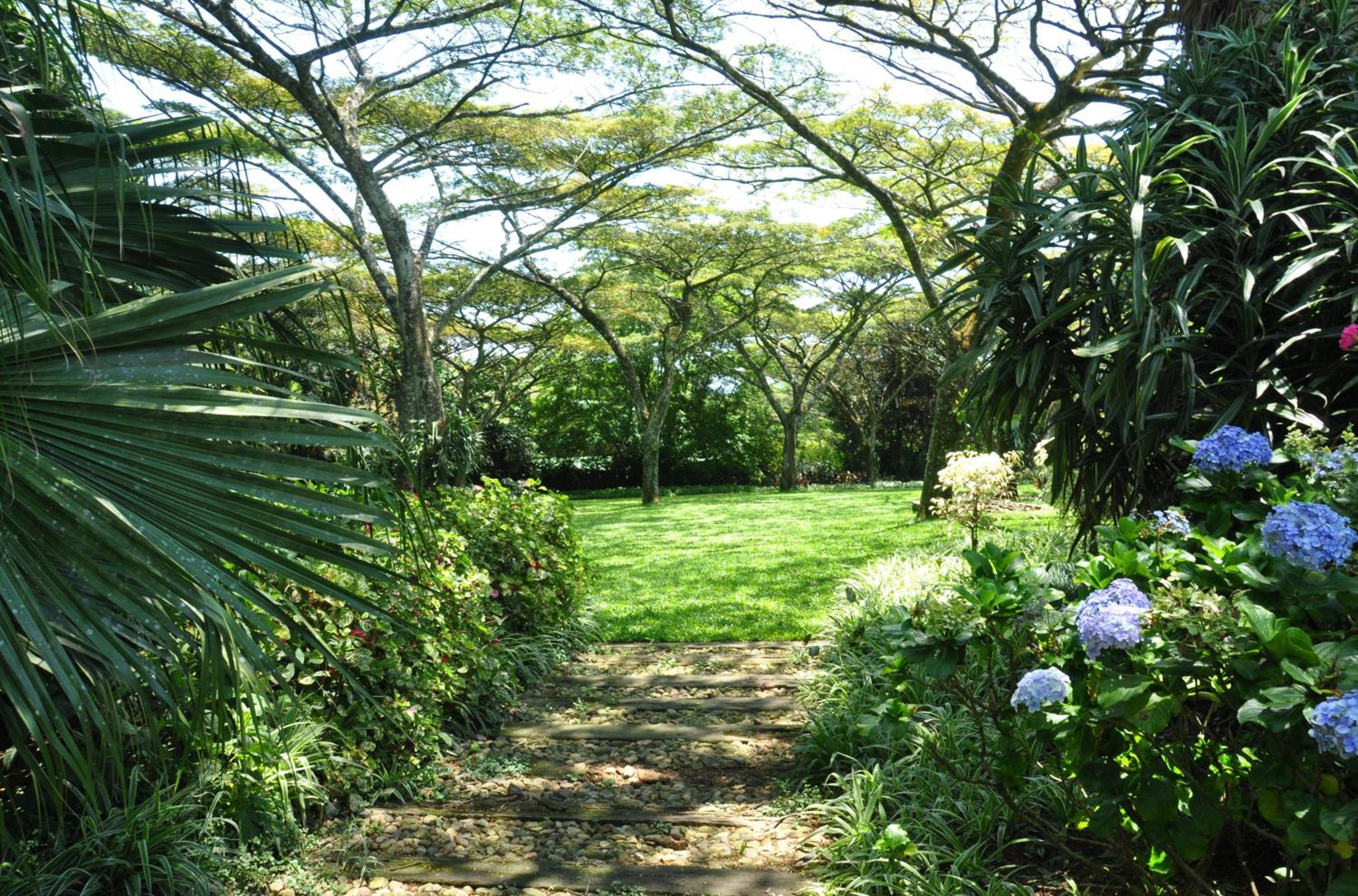 Birds of Paradise B&B