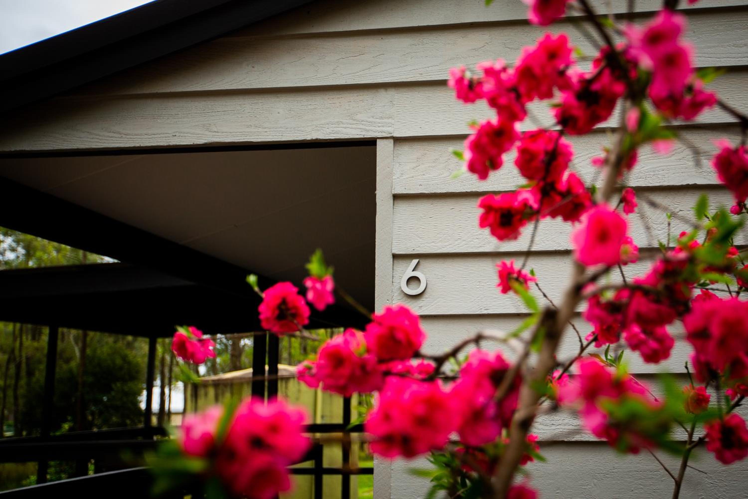 Pokolbin Cottages