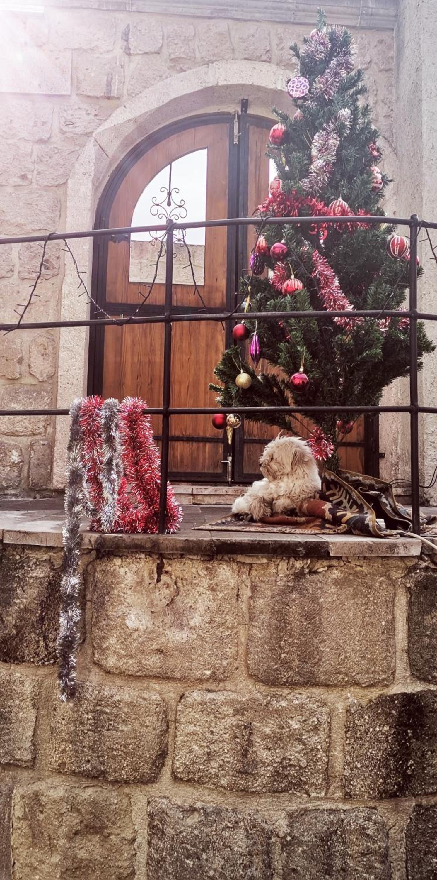 Salkım Cave House - Image 70