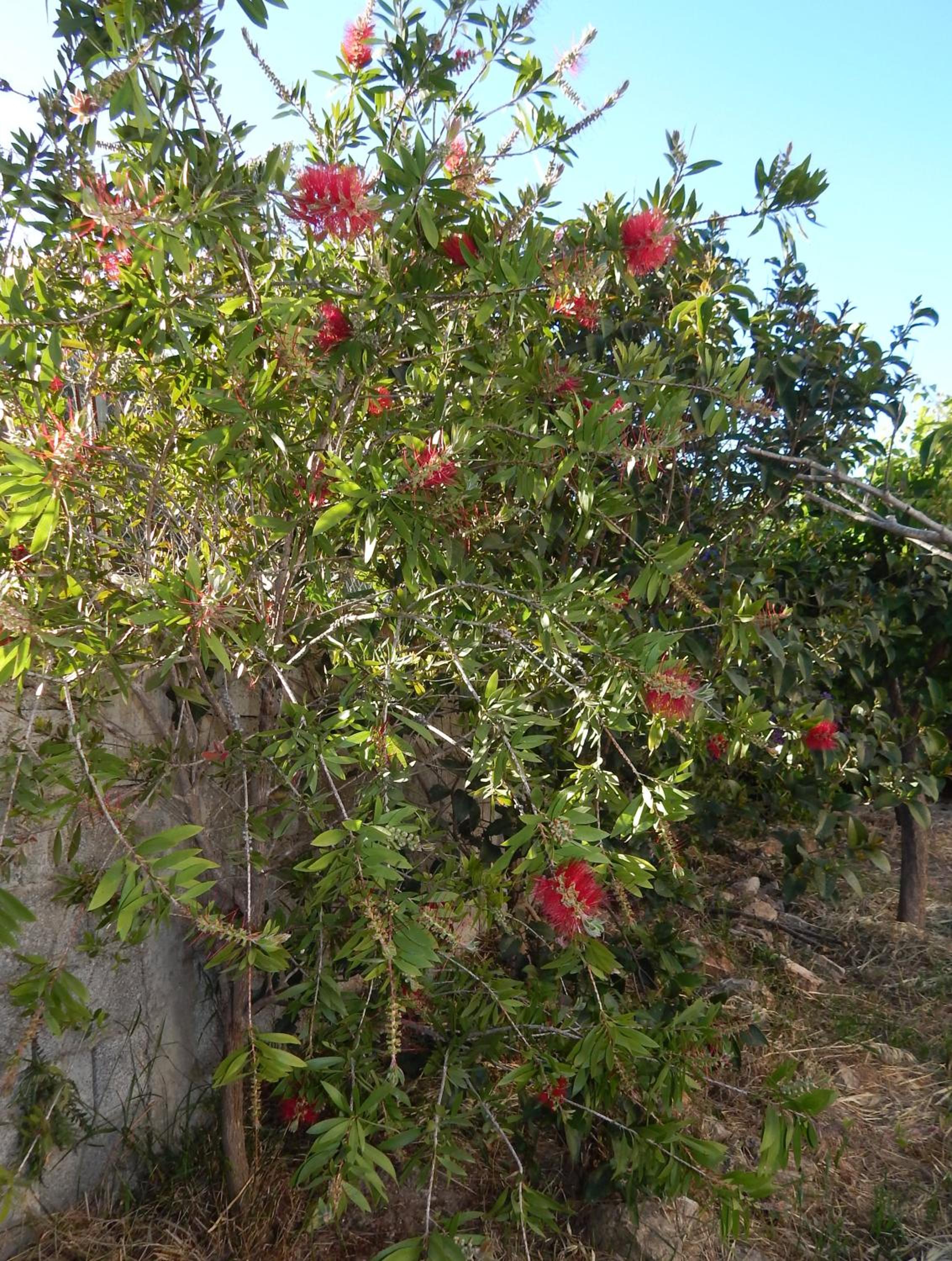 Photo 15