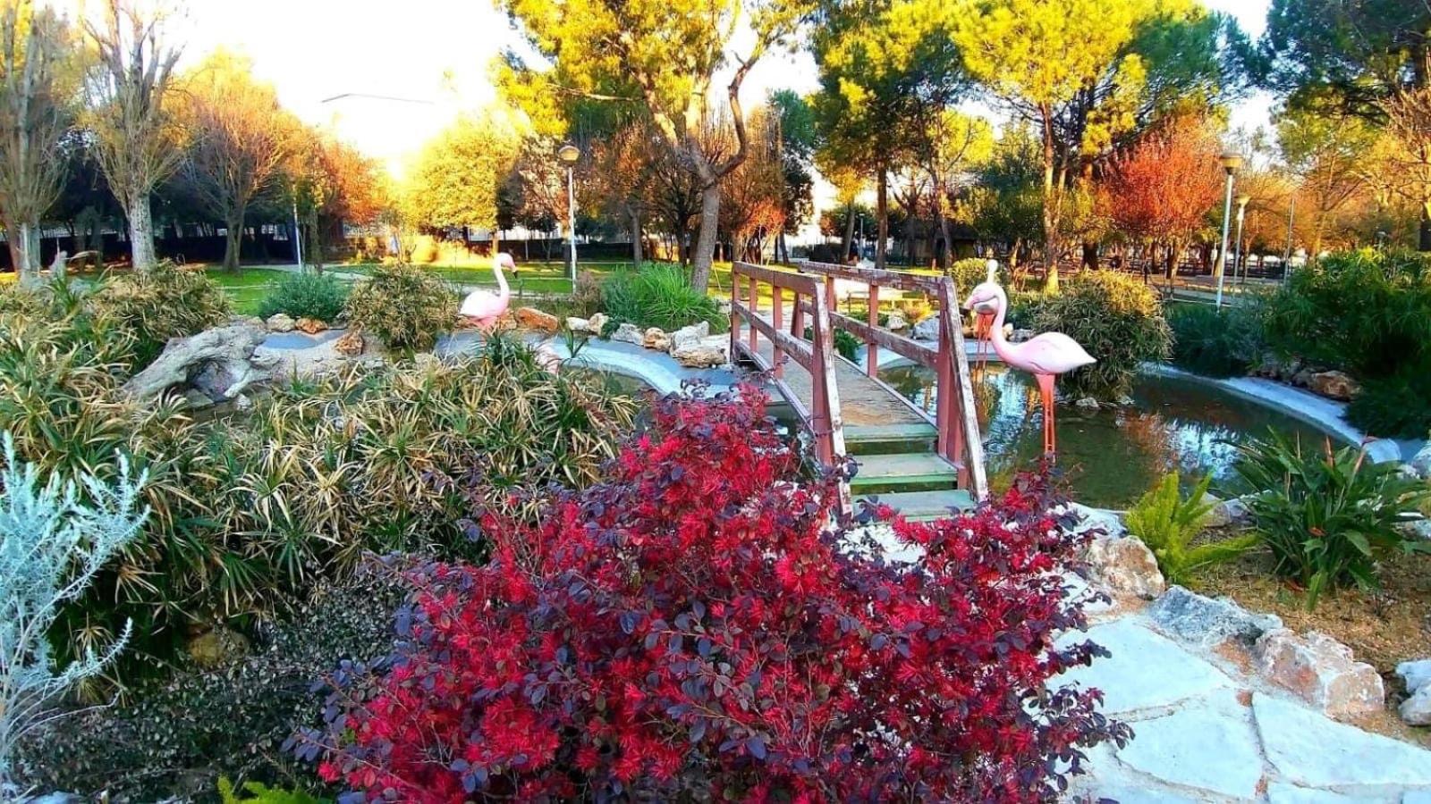 Photo 31