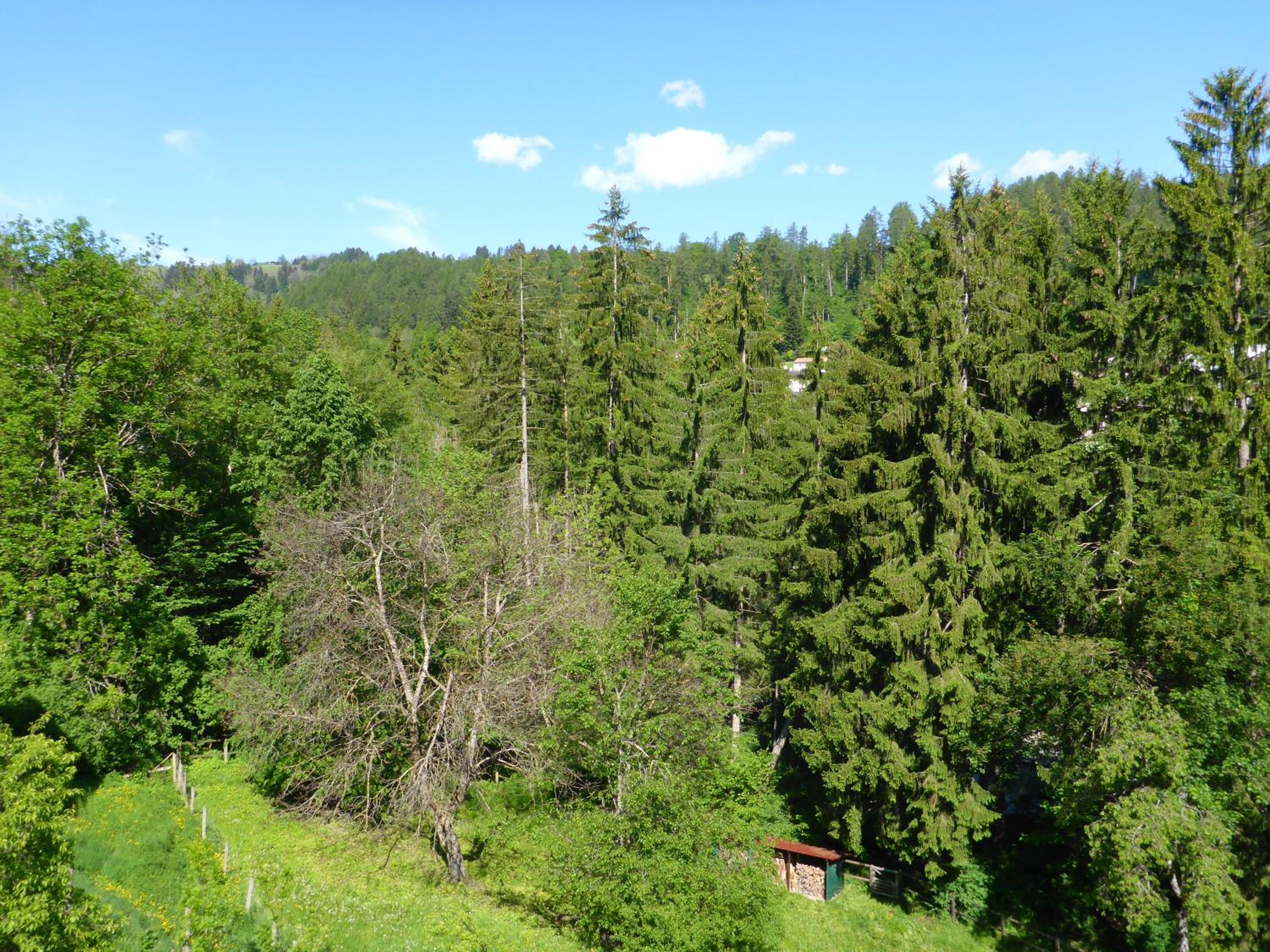 Photo 25