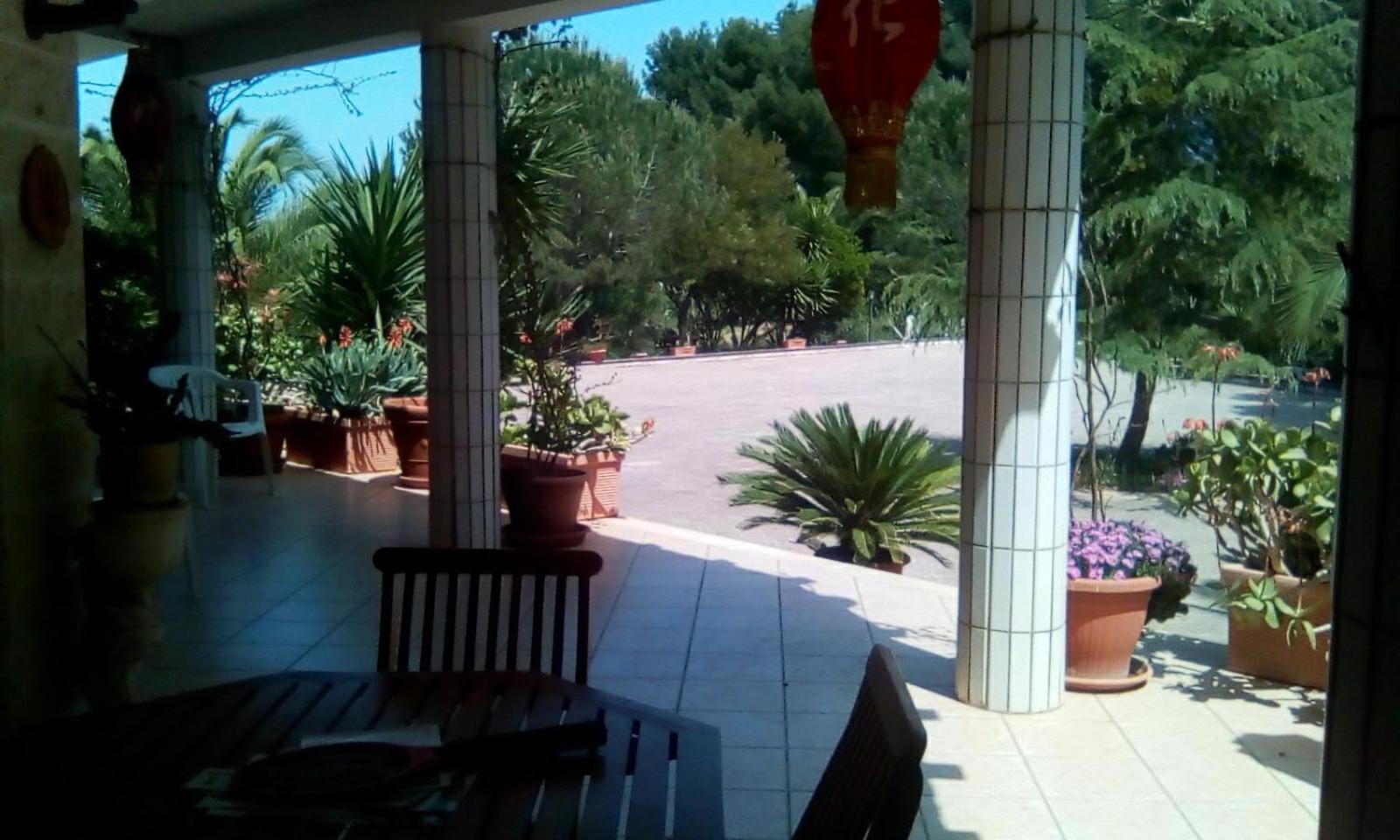 Photo 47