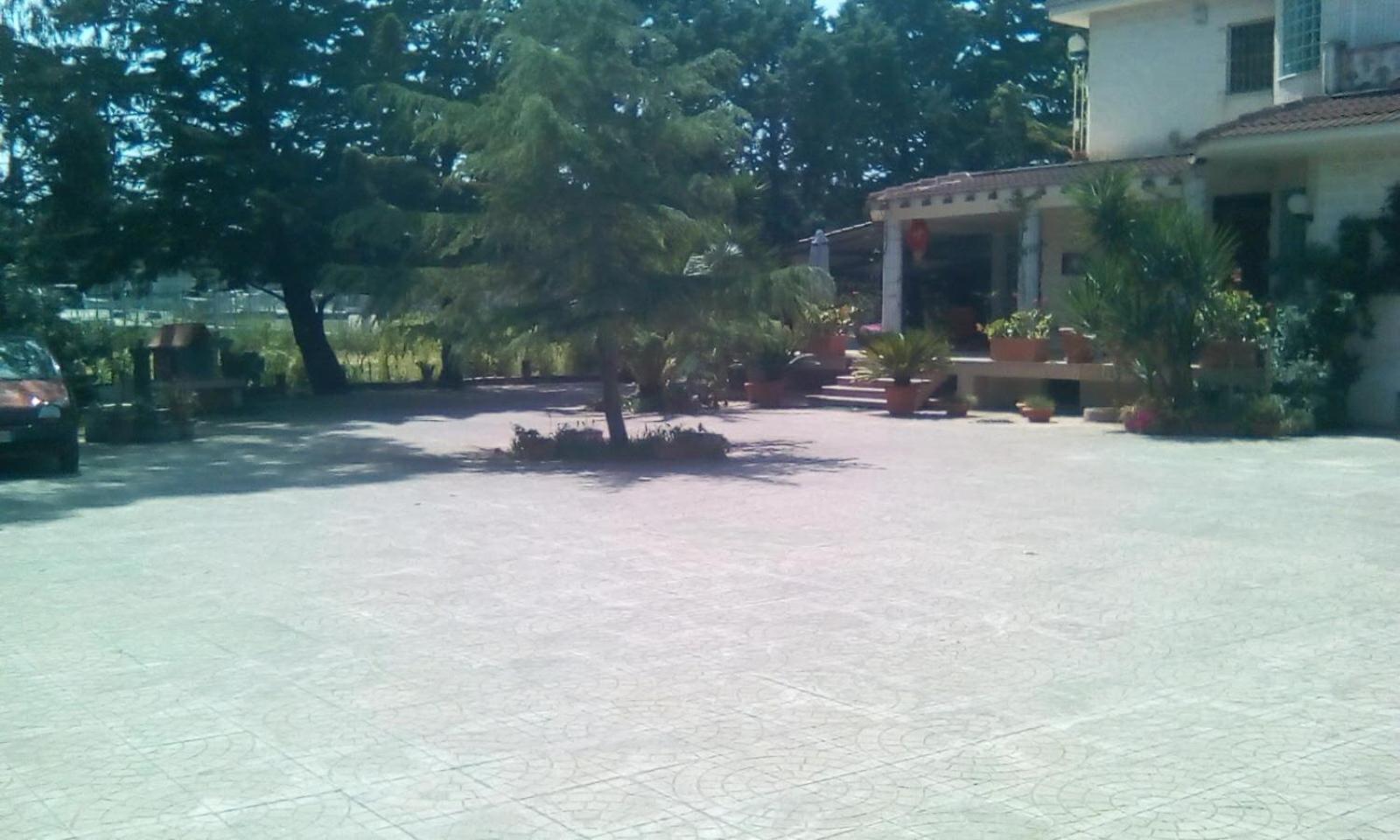 Photo 48