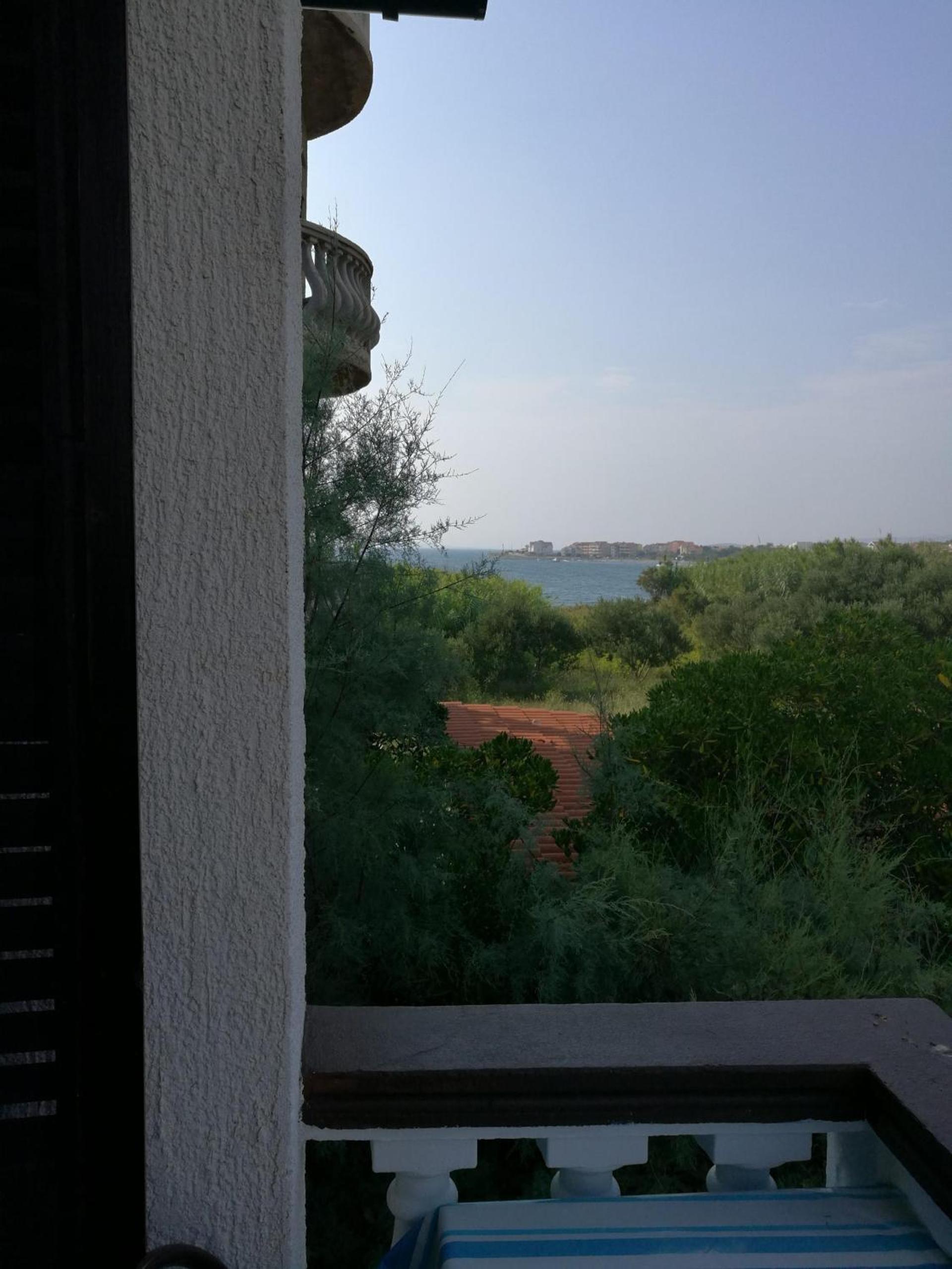 Photo 44