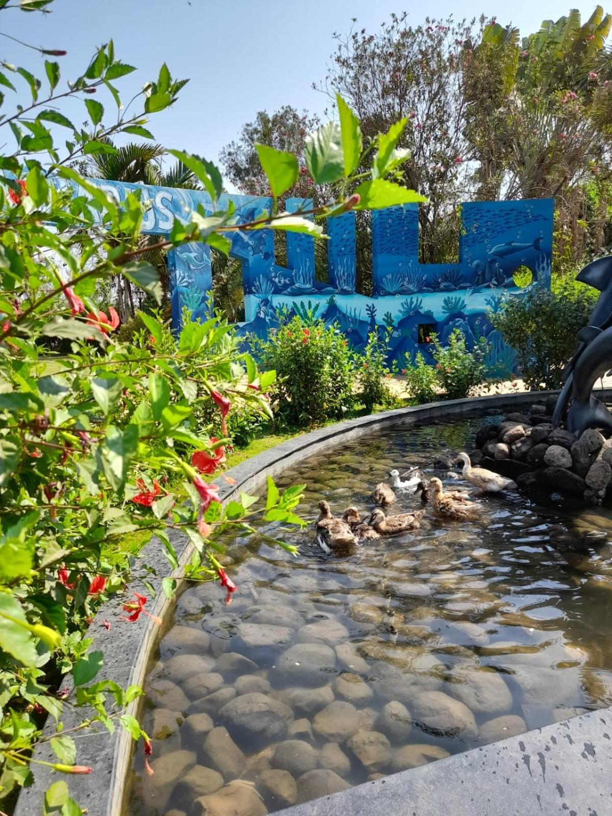 Photo 18