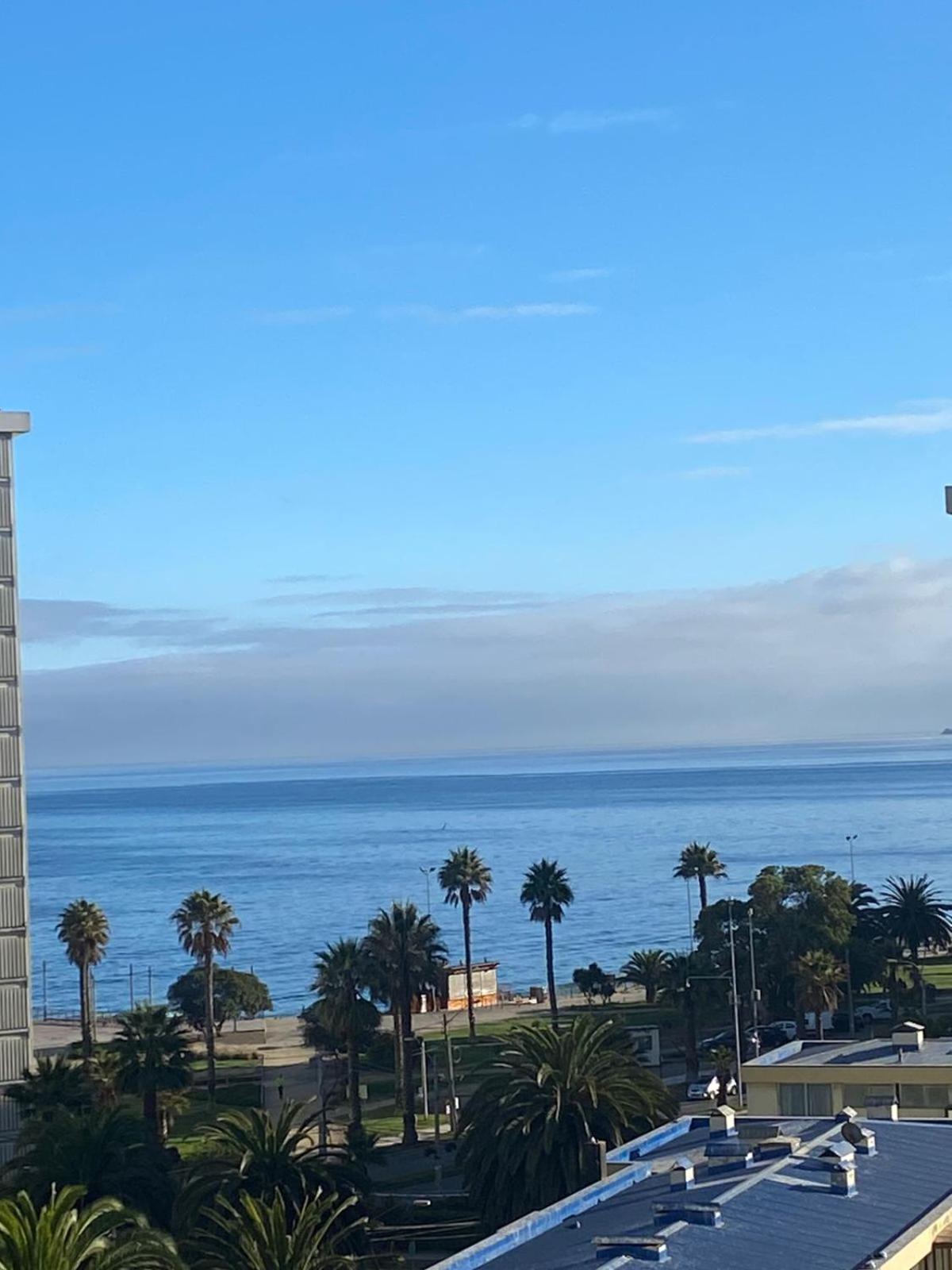 En VIÑA DEL MAR, maravilloso y nuevo depto