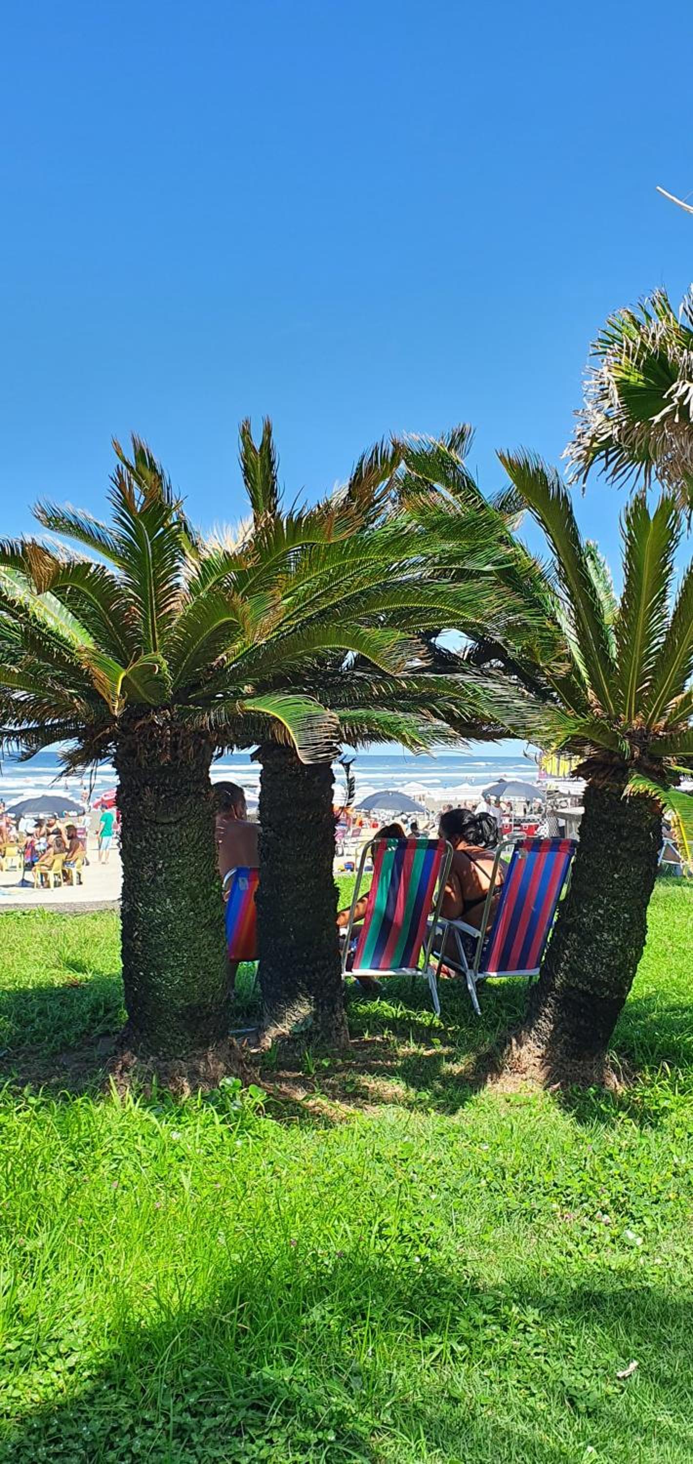 Apartamento na Praia