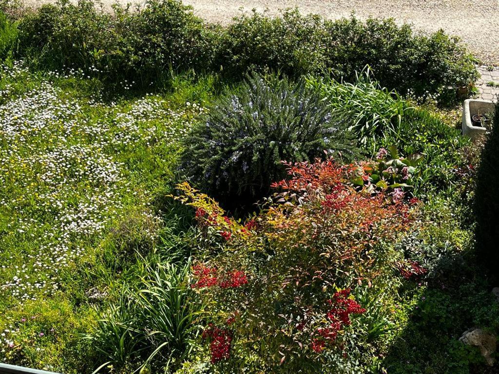 Photo 10