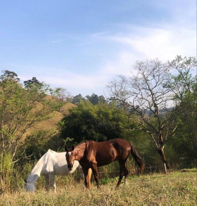 Pousada Água Limpa