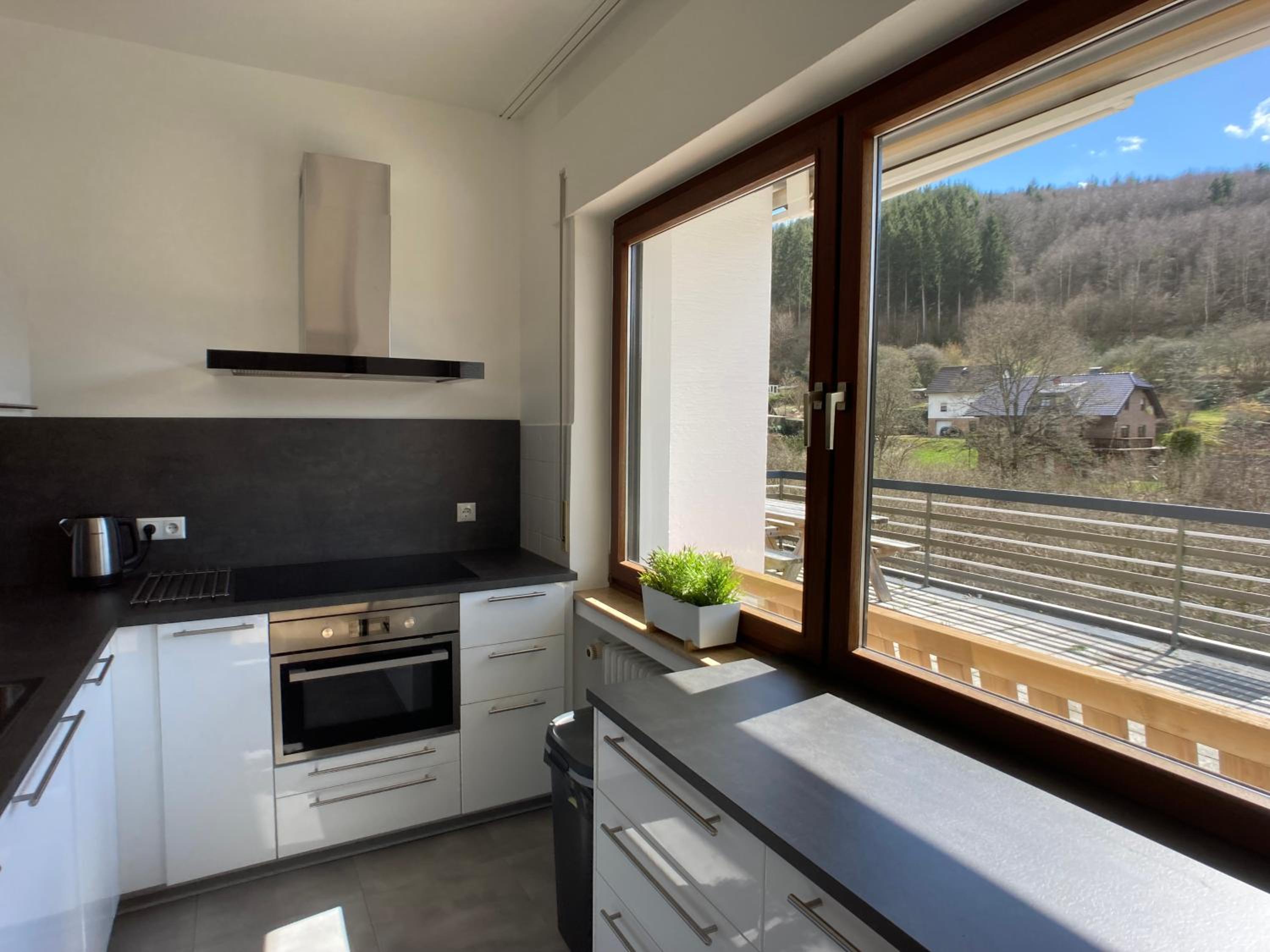 Villa Holgenbach - Penthouse und Ferienwohnung im Nationalpark Eifel, photo 43