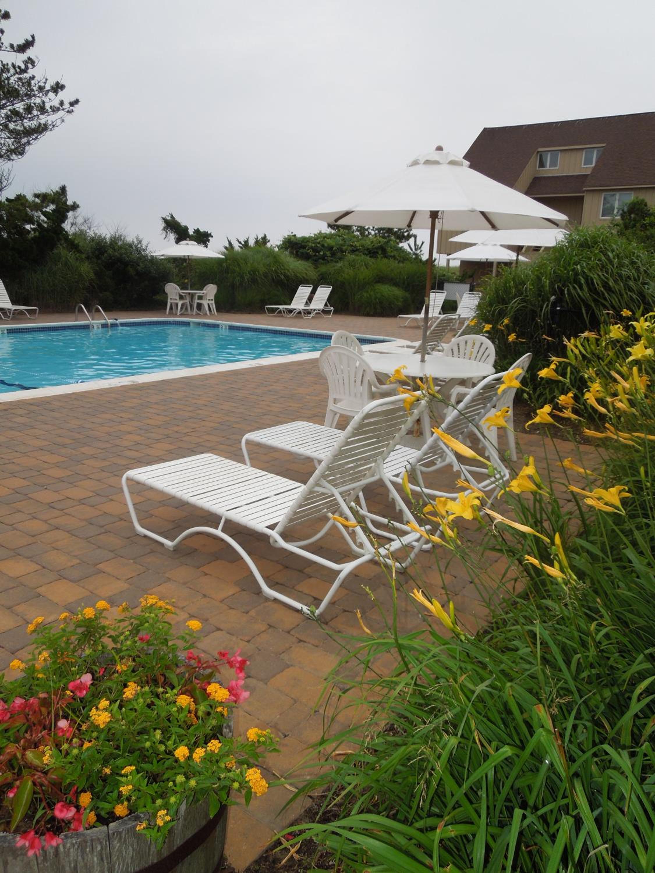 Windward Shores
